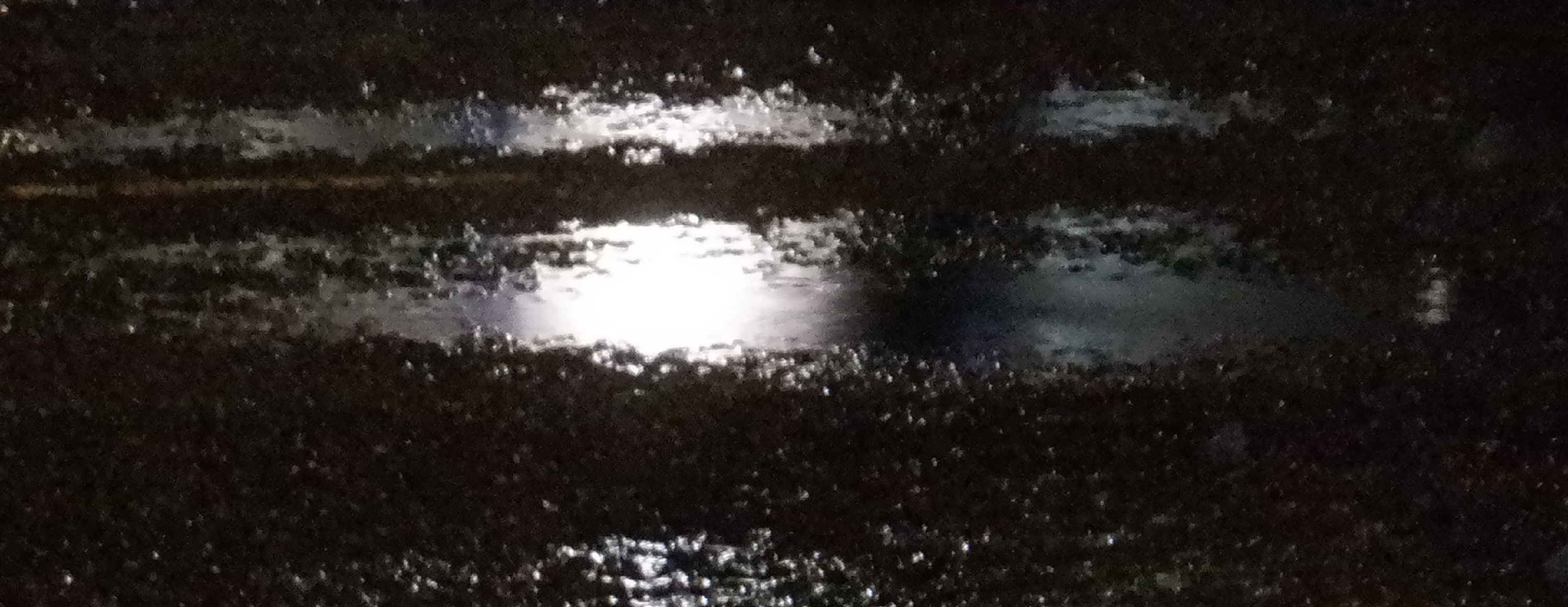 Photo taken by me 3-5-21