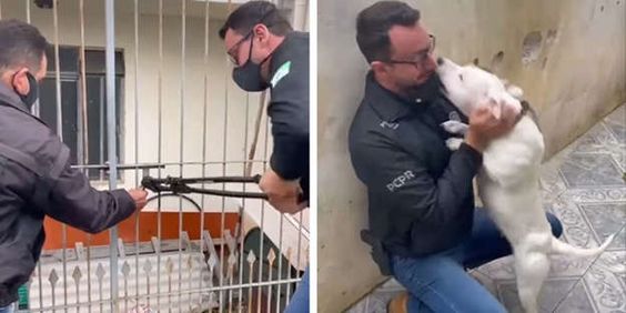 Parana animal protection agent Matheus Laiola and the dog he rescued