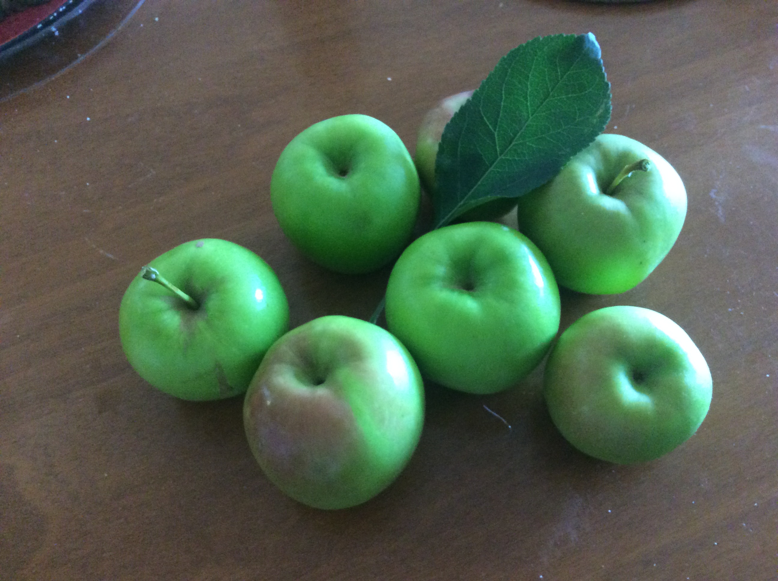 my foto of apples i picked