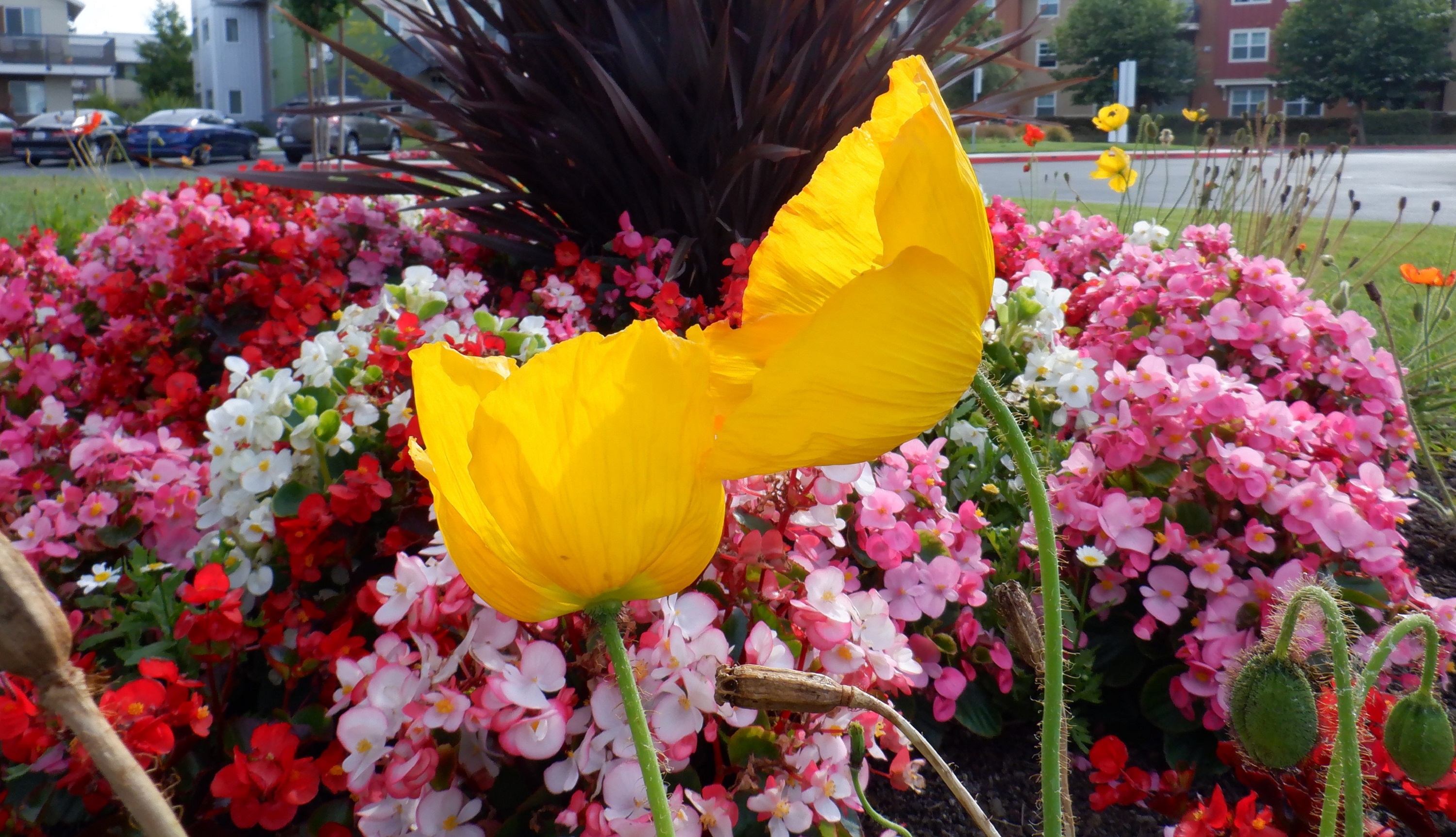 Photo taken by me Photo taken by me