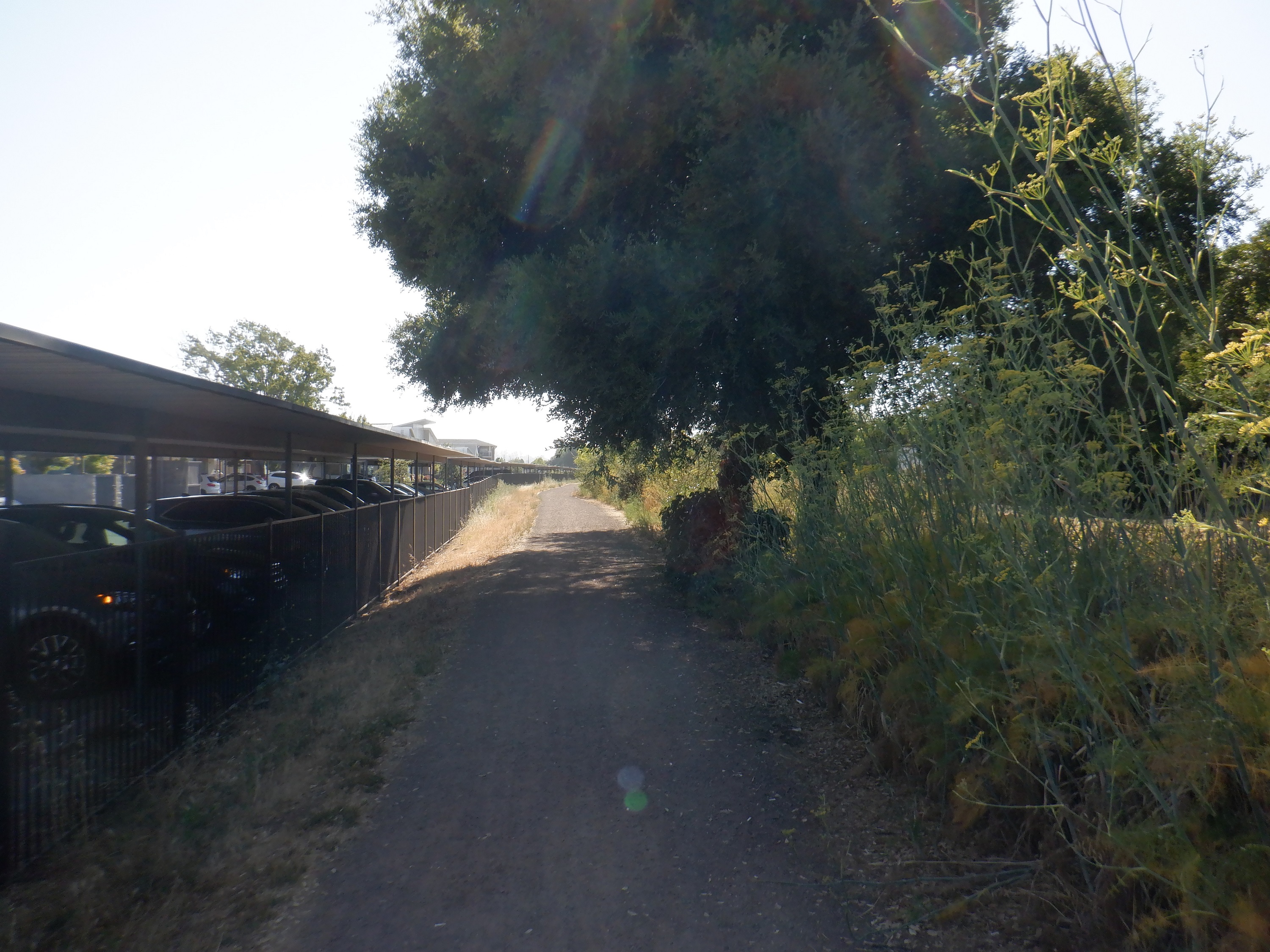 Photo I took when we went out the back gate of the apartment complex and got on the trail Photo I took when we went out the back gate of the apartment complex and got on the trail