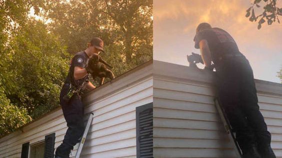Beaufort County firefighter Corey Hagan rescues a small cat trapped in a roof Beaufort County firefighter Corey Hagan rescues a small cat trapped in a roof