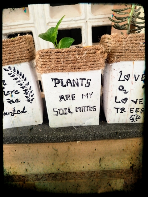 Plants, green