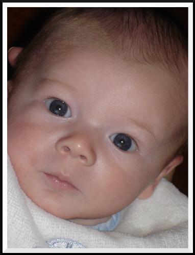 Little Man Again - Isn't he beautiful?