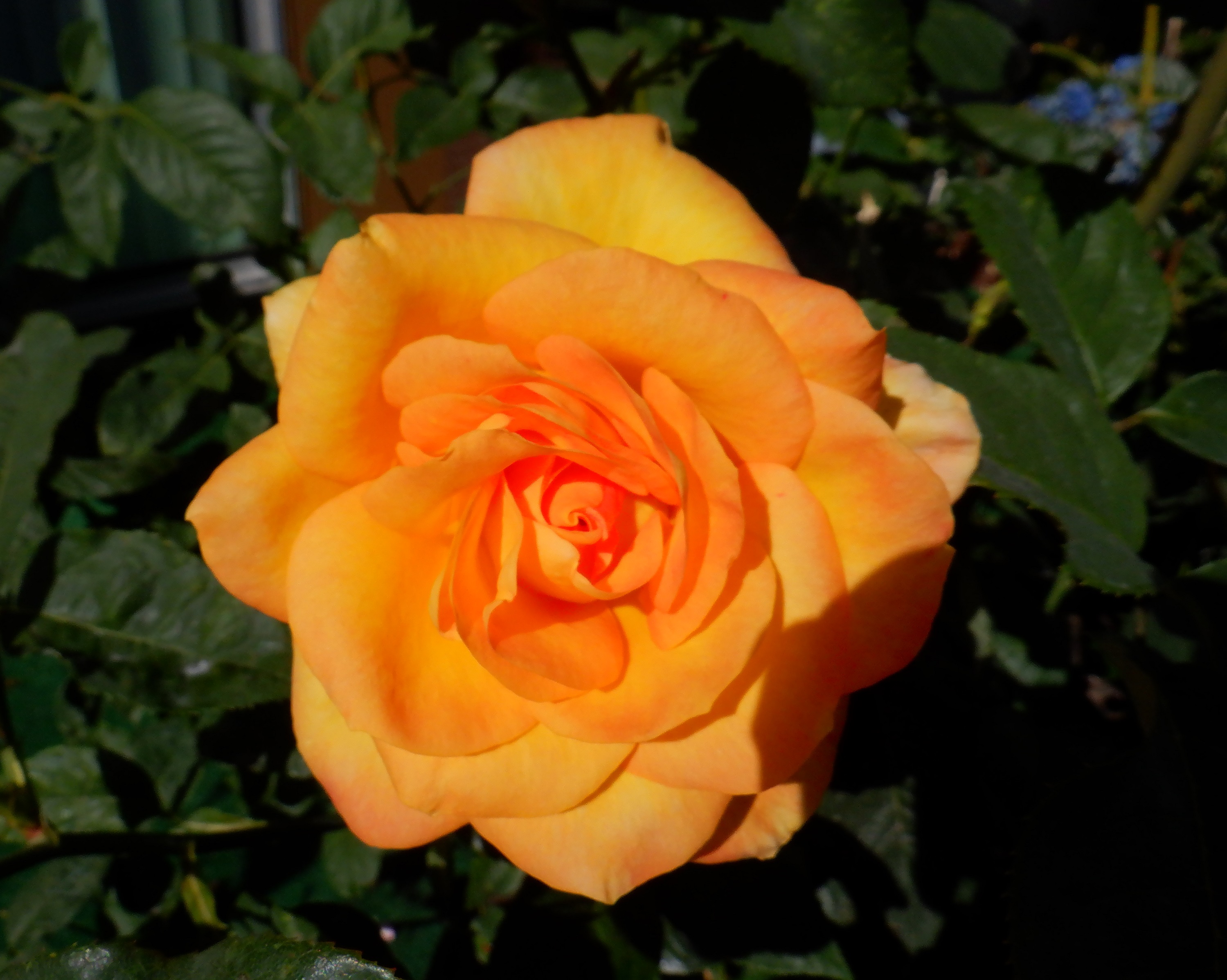 Photo taken by me Photo taken by me