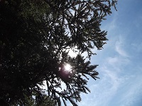 Photo taken by me 2014