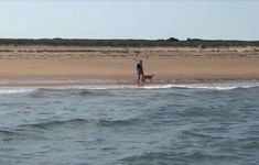 Marcy Sterlis on a beach in Massachusetts and a coyote Marcy Sterlis on a beach in Massachusetts and a coyote