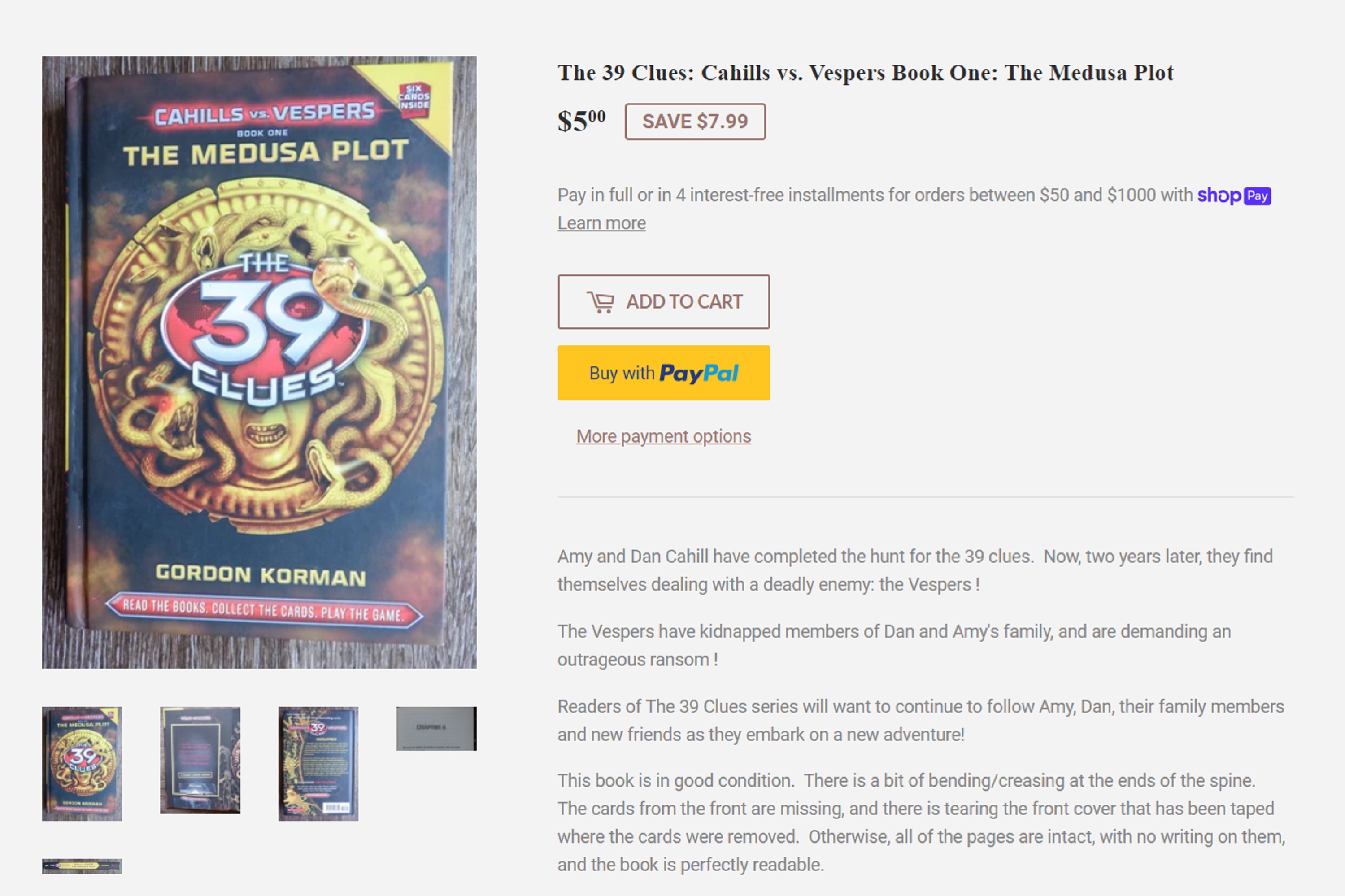 Screencap of the item I put in my Shopify shop Screencap of the item I put in my Shopify shop