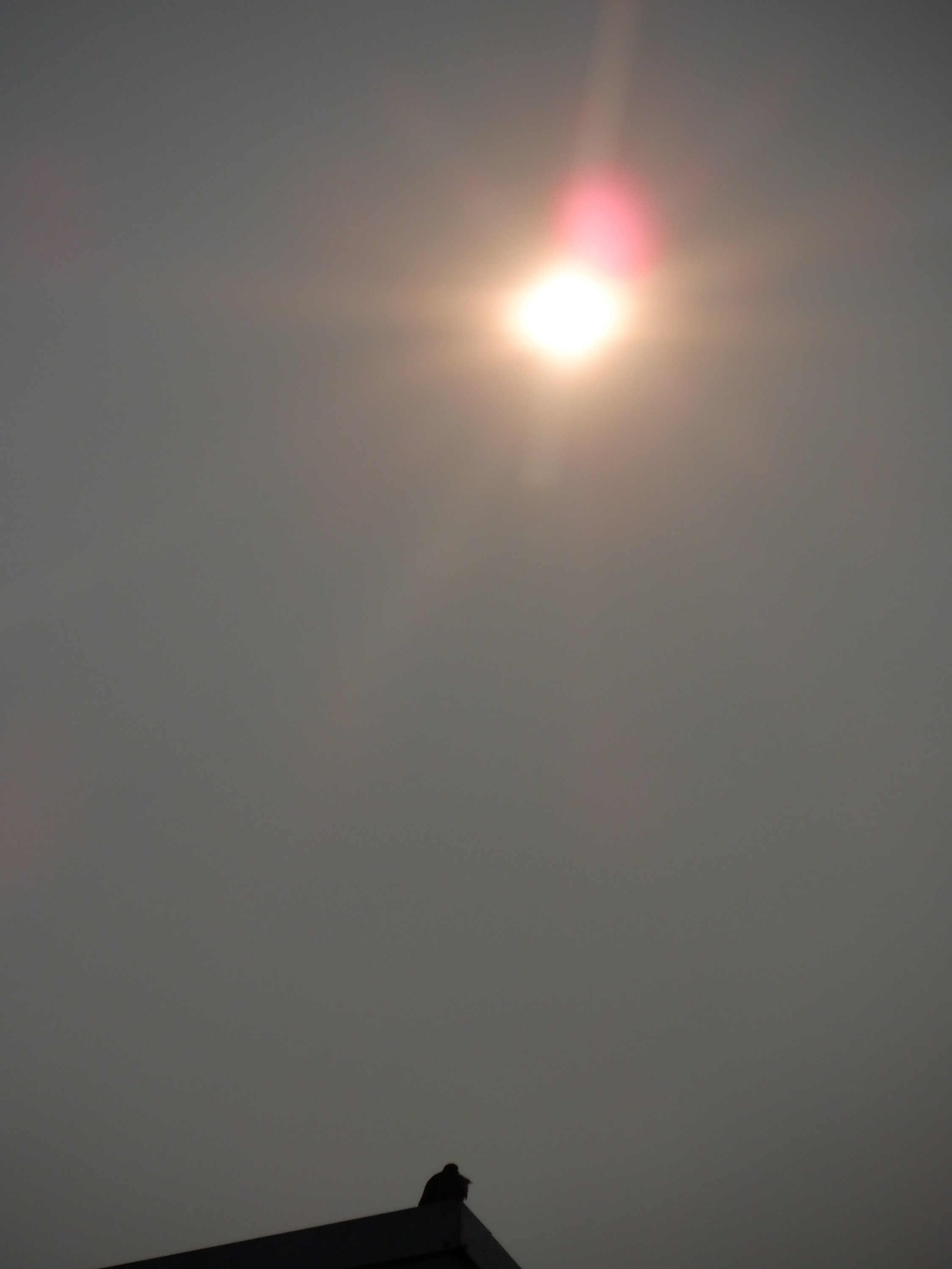 Photo taken by me