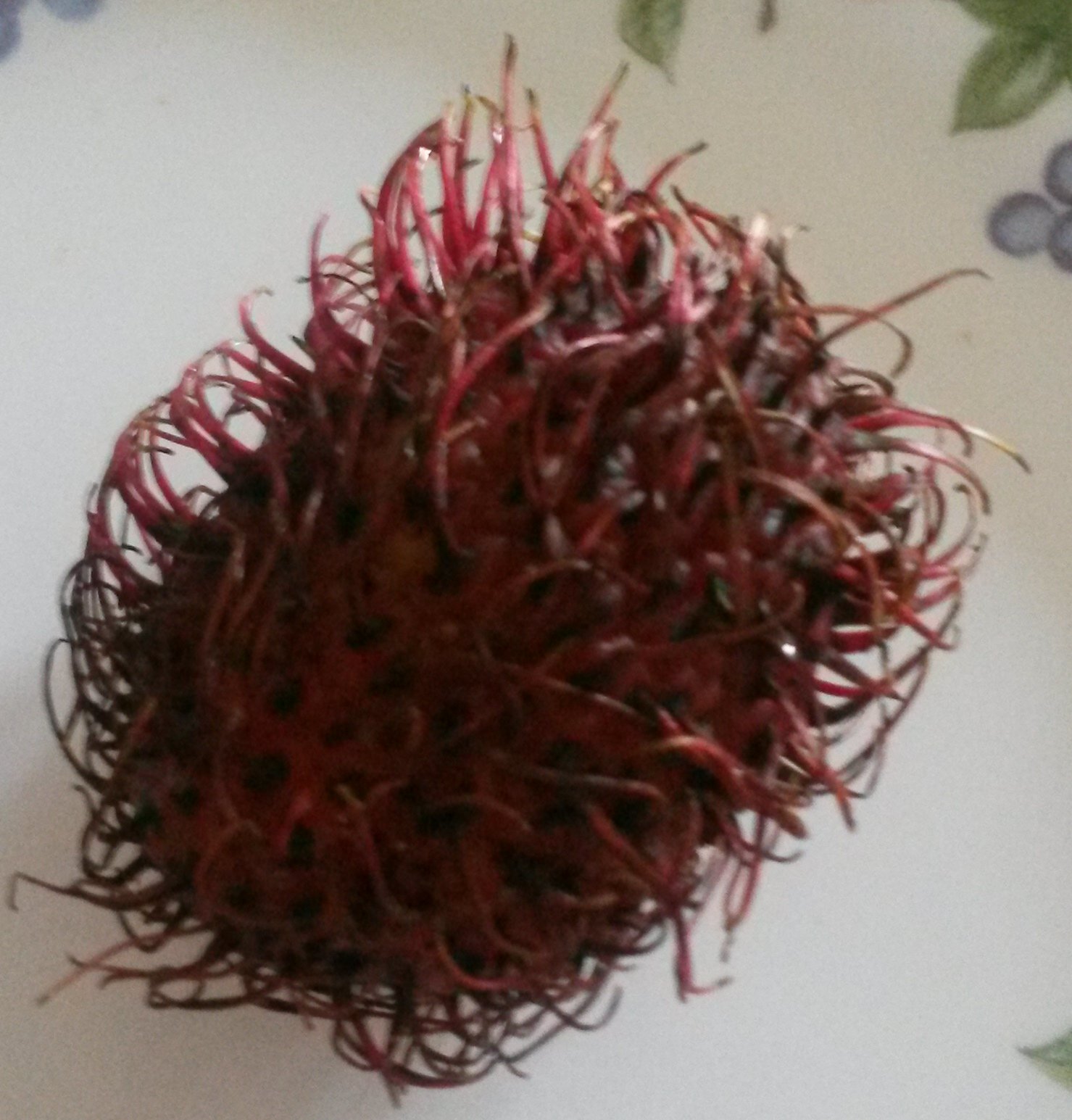 Lychee Lychee
