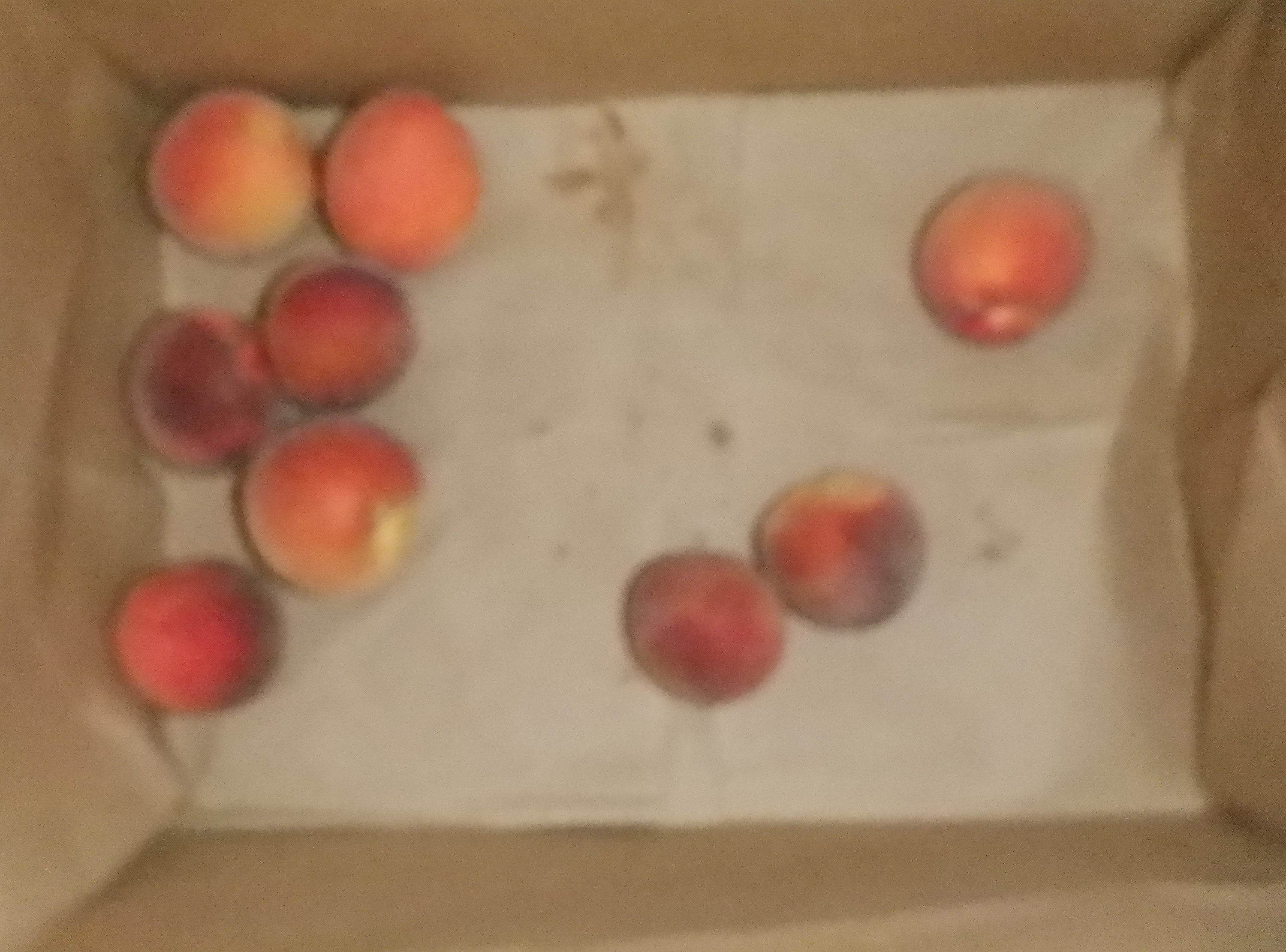 Photo I took of the bottom of the bag after I shared some peaches Photo I took of the bottom of the bag after I shared some peaches