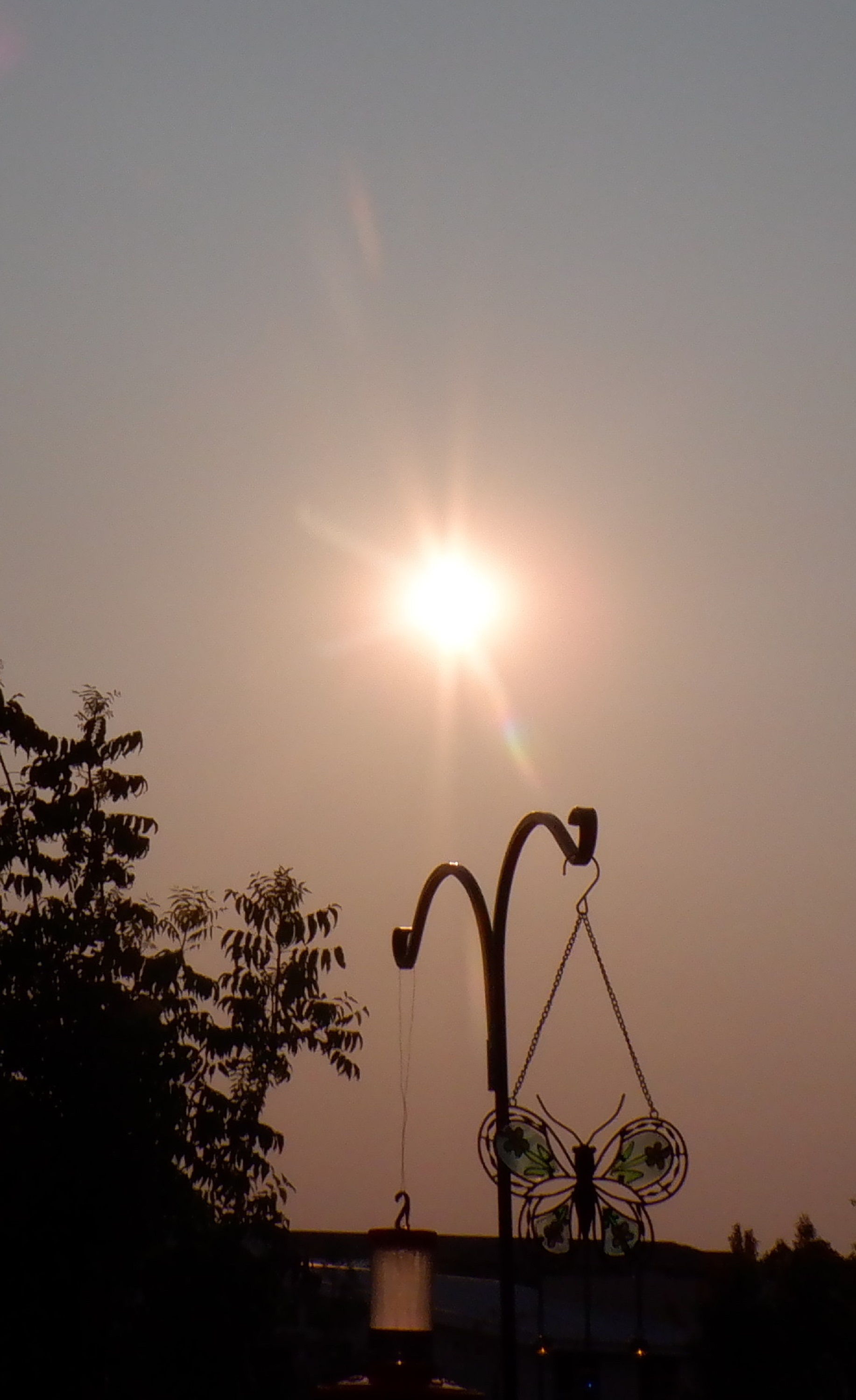 Photo taken by me 8-18-21
