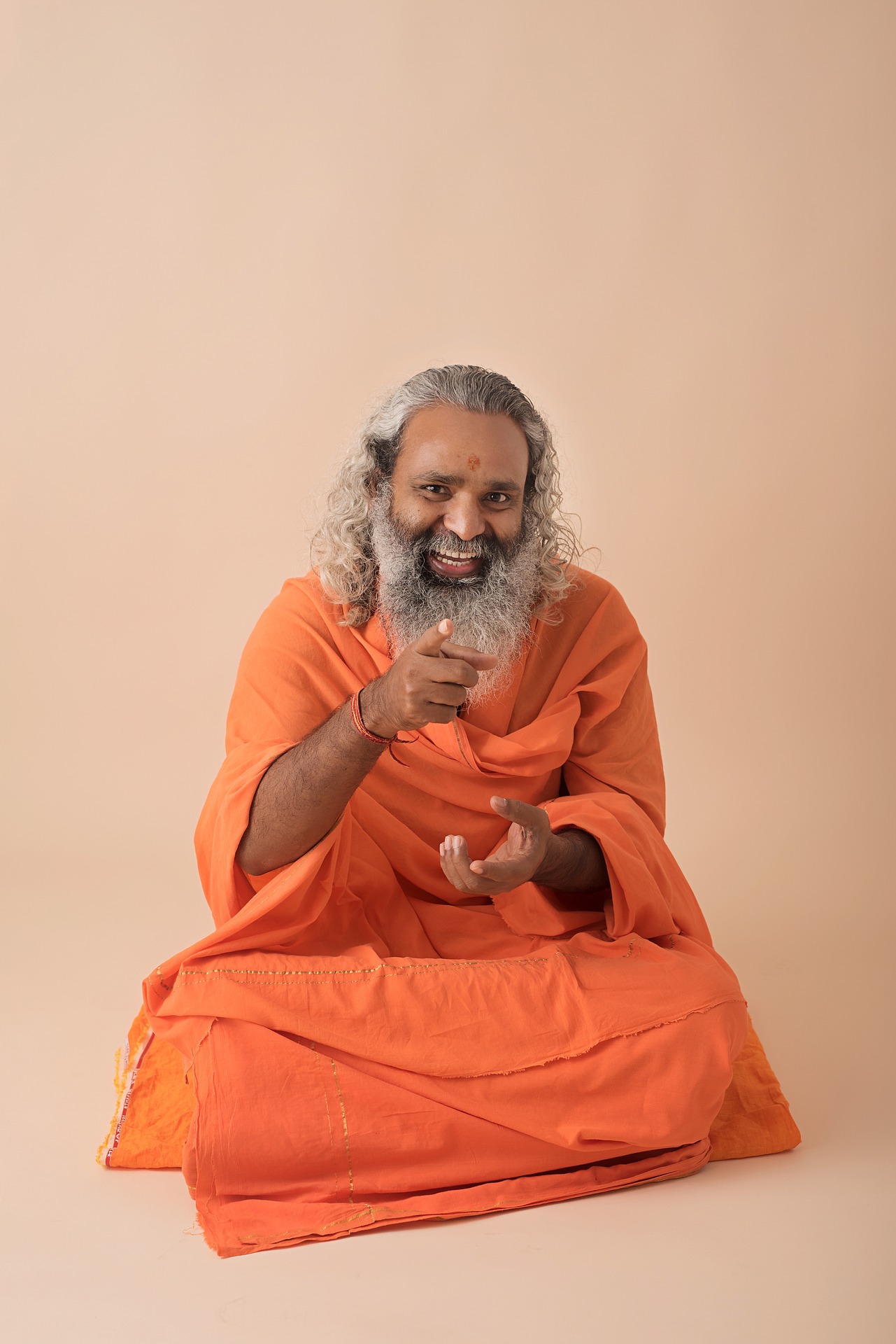 The Swami went swimming with his Maharishi. Both enjoyed the dip. The Swami went swimming with his Maharishi. Both enjoyed the dip.