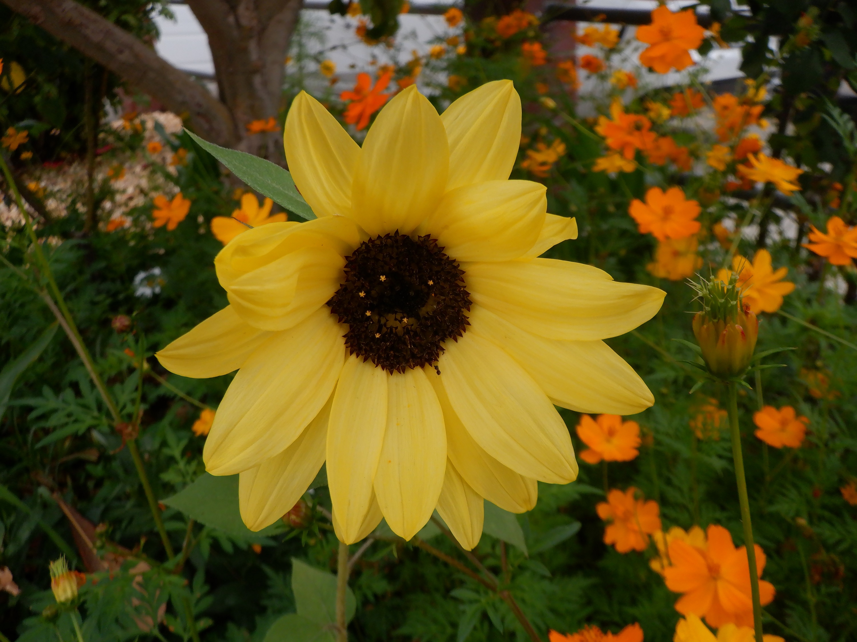 Photo taken by me