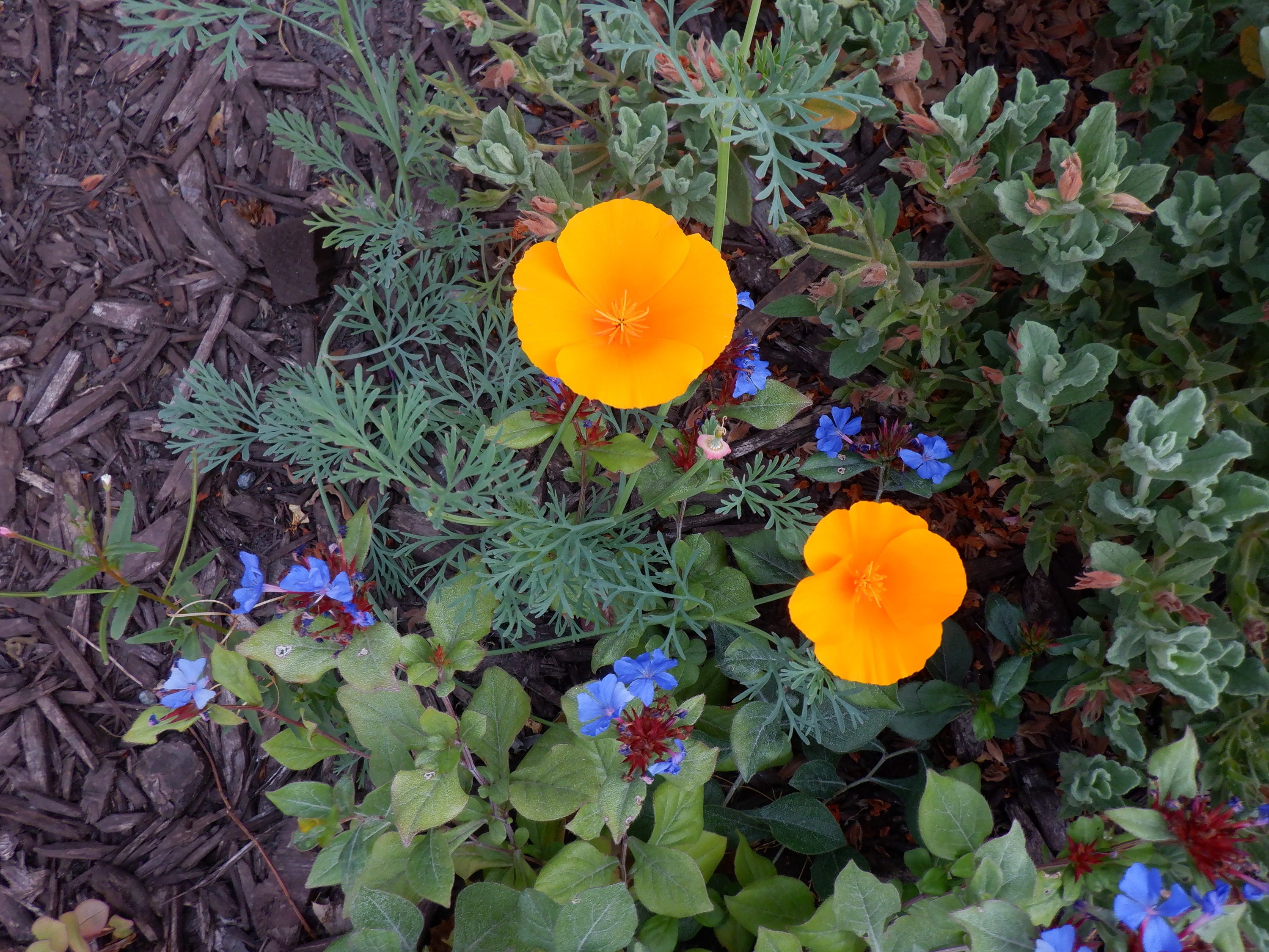 Photo taken by me 8-22-21 Photo taken by me 8-22-21