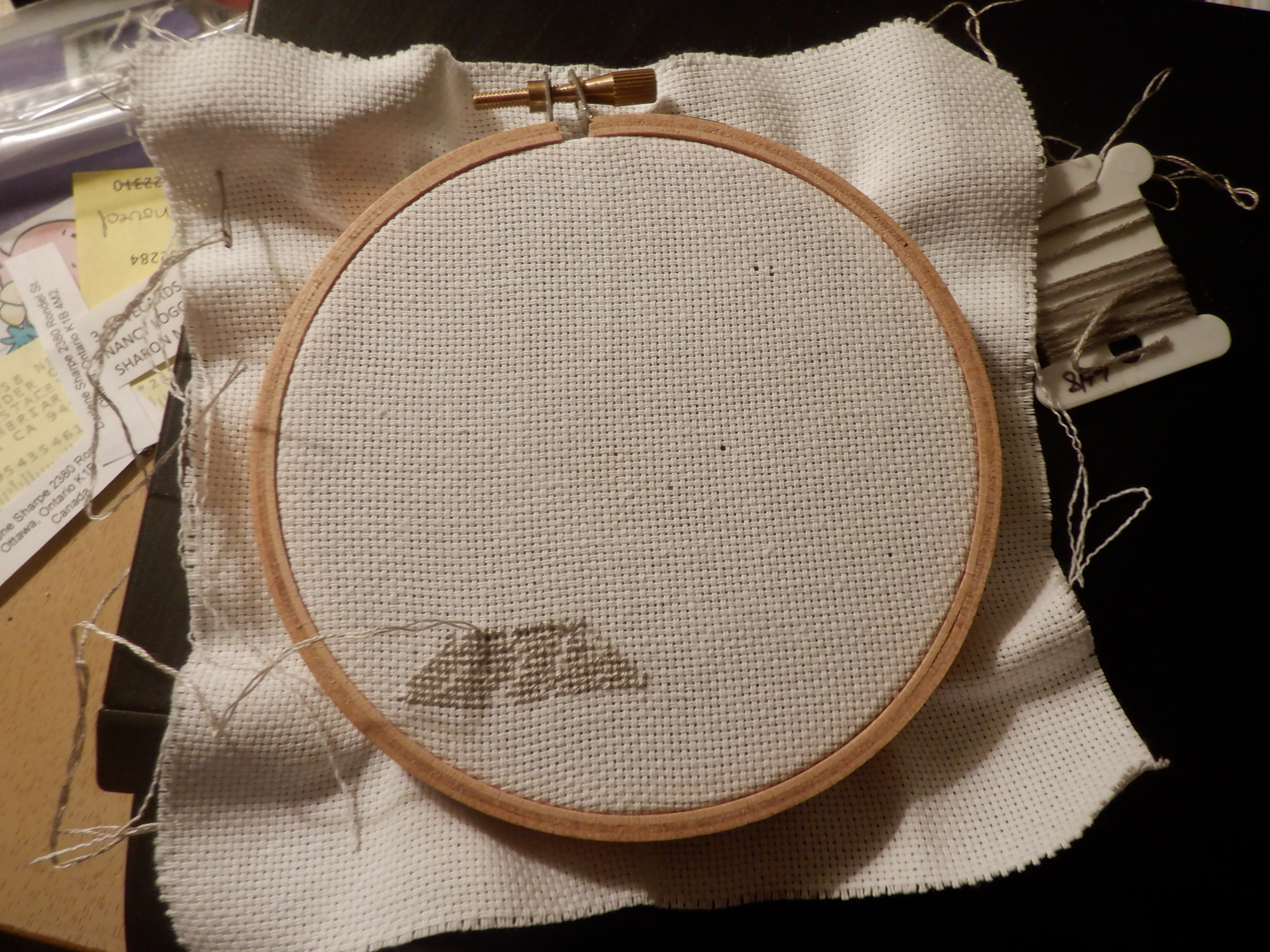 Photo I took yesterday of the cross stitch project I'm working on Photo I took yesterday of the cross stitch project I'm working on