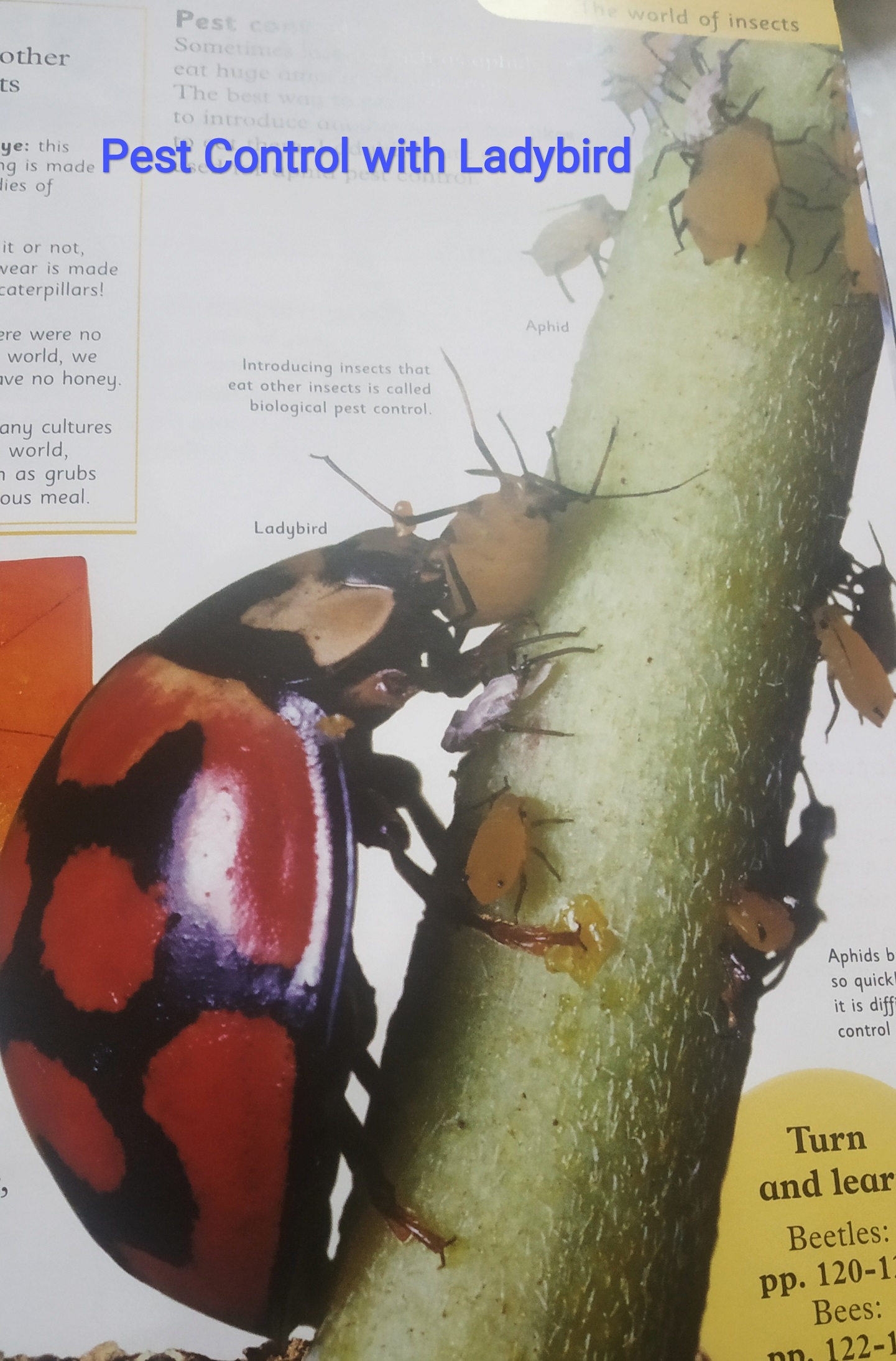 Biological Pest Control