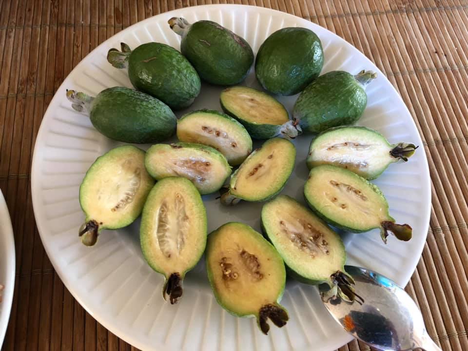 Feijoa, guavas, vitamins , minerals , anti-oxidant