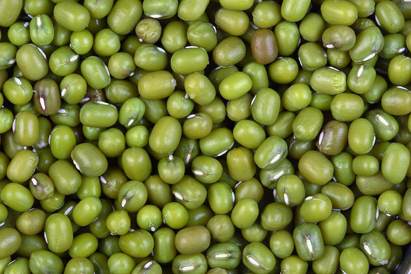 https://upload.wikimedia.org/wikipedia/commons/thumb/f/f2/Sa_green_gram.jpg/800px-Sa_green_gram.jpg https://upload.wikimedia.org/wikipedia/commons/thumb/f/f2/Sa_green_gram.jpg/800px-Sa_green_gram.jpg