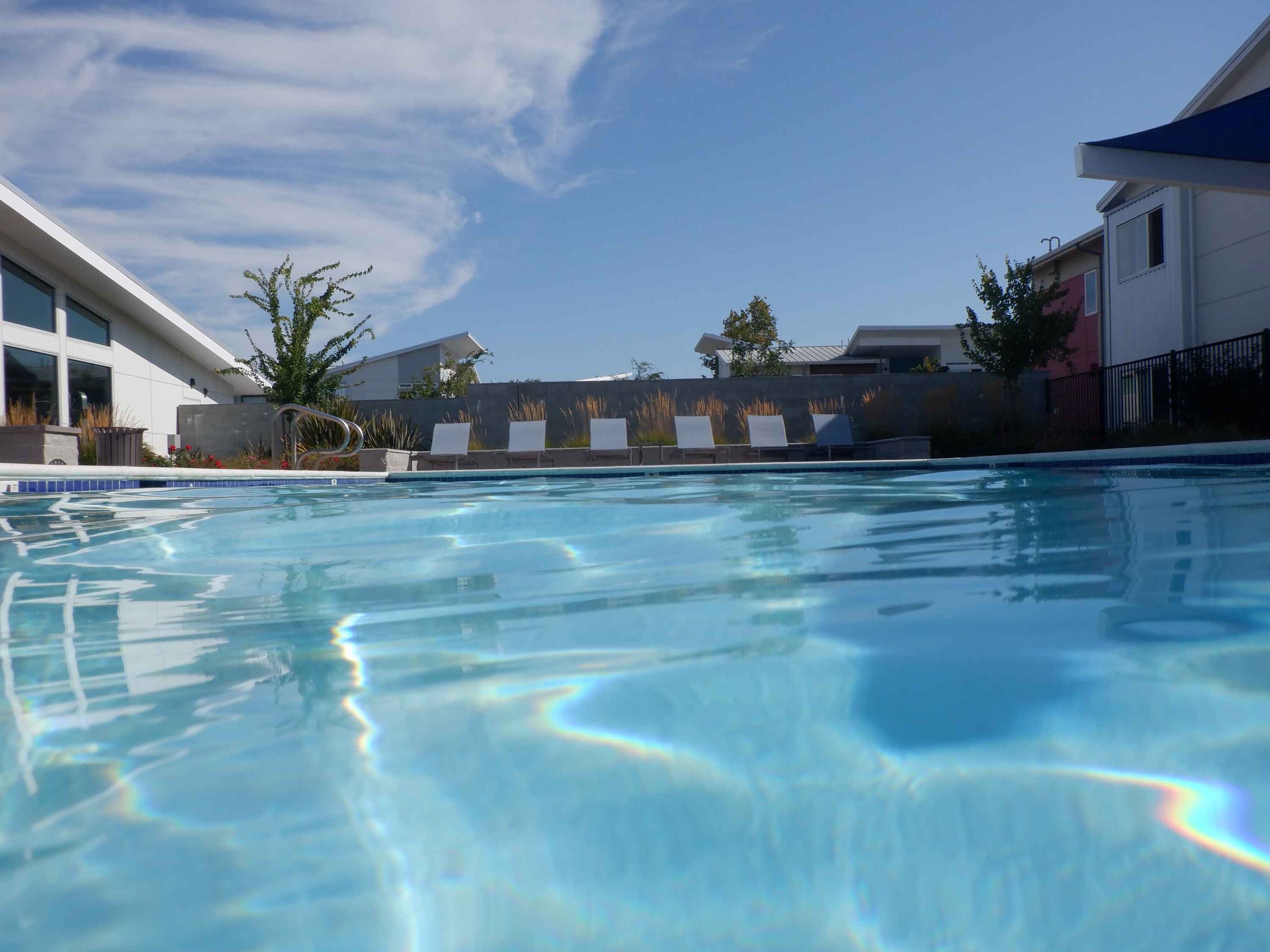 Photo I took at the pool Photo I took at the pool