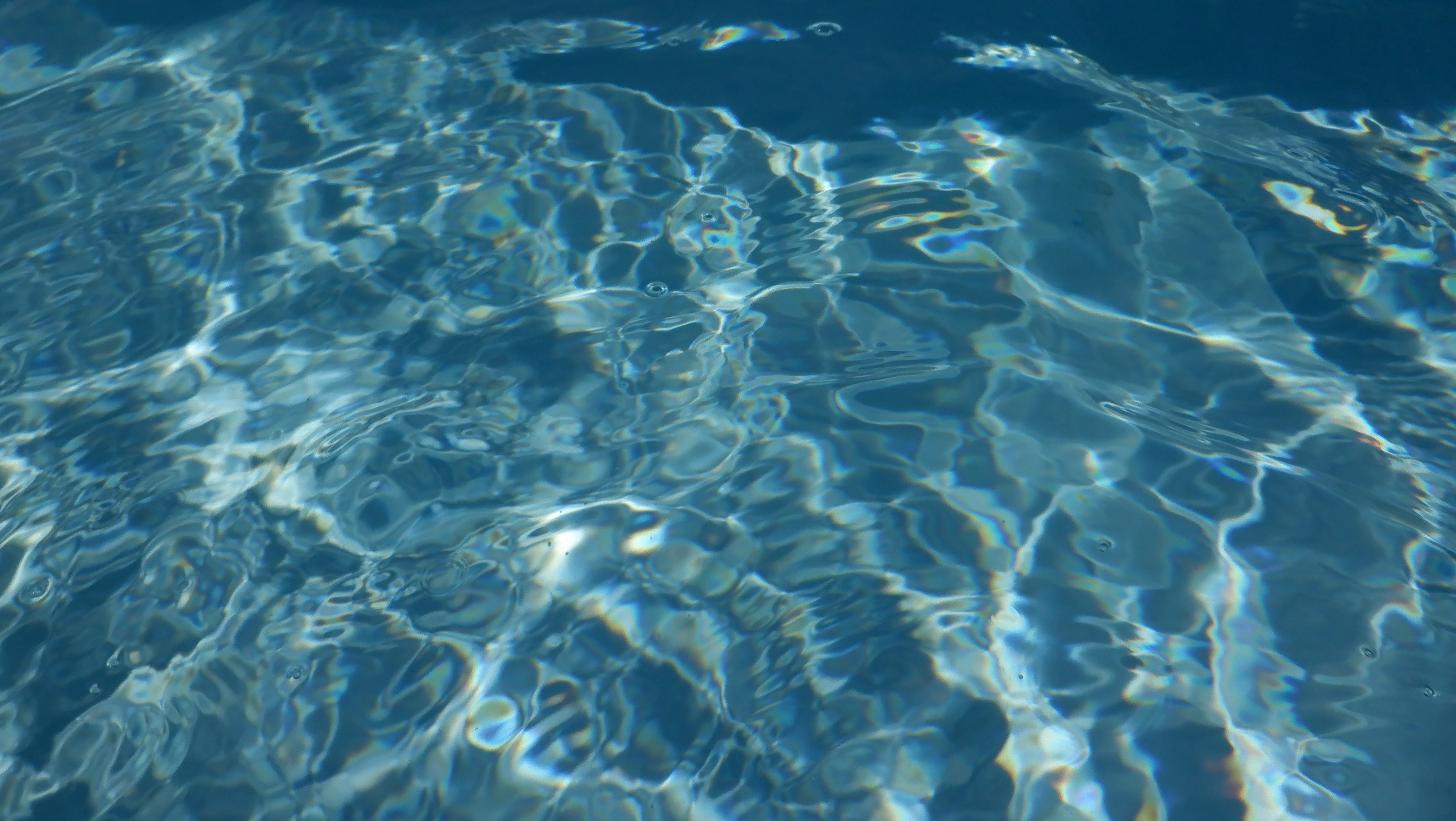 Photo taken by me 9-8-21-3