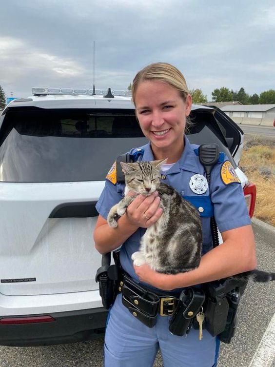 Washington State Highway Police Officer with a rescued cat. Washington State Highway Police Officer with a rescued cat.