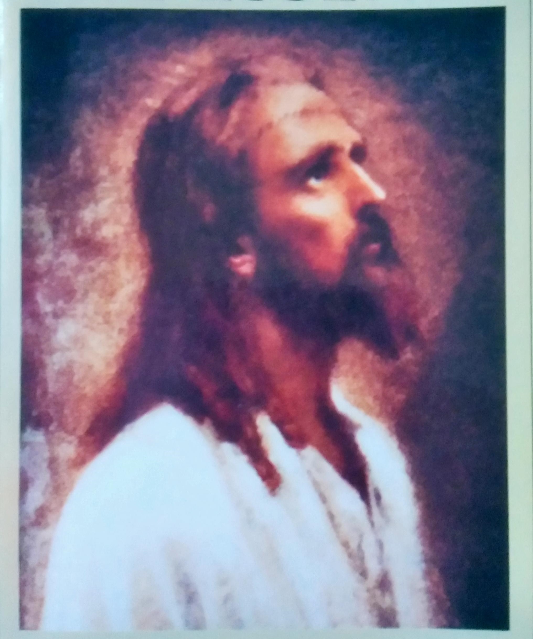 Evan Marzall looked exactly like the pictures of Jesus Christ that have been painted of him Evan Marzall looked exactly like the pictures of Jesus Christ that have been painted of him