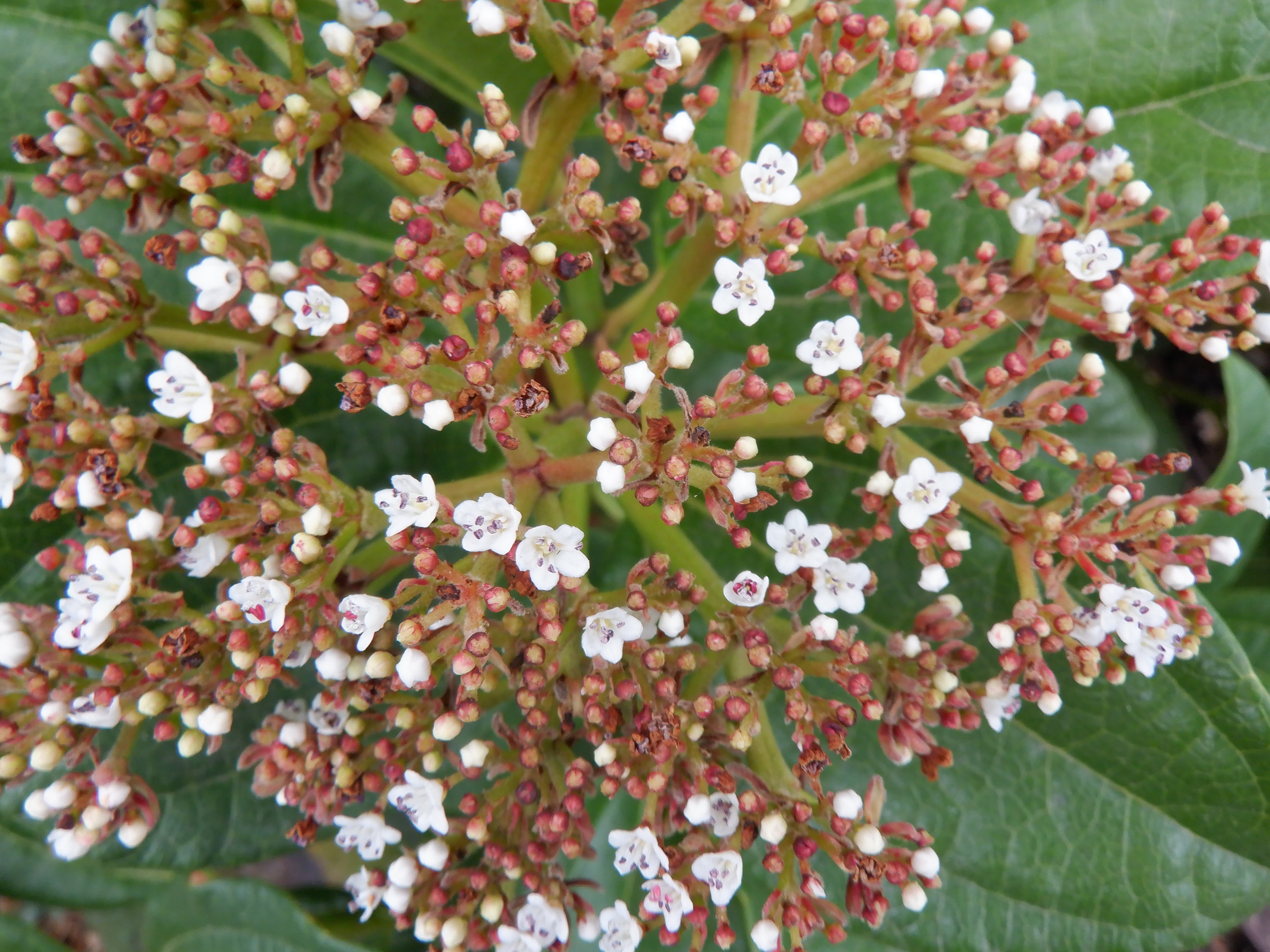 Photo taken by me Photo taken by me