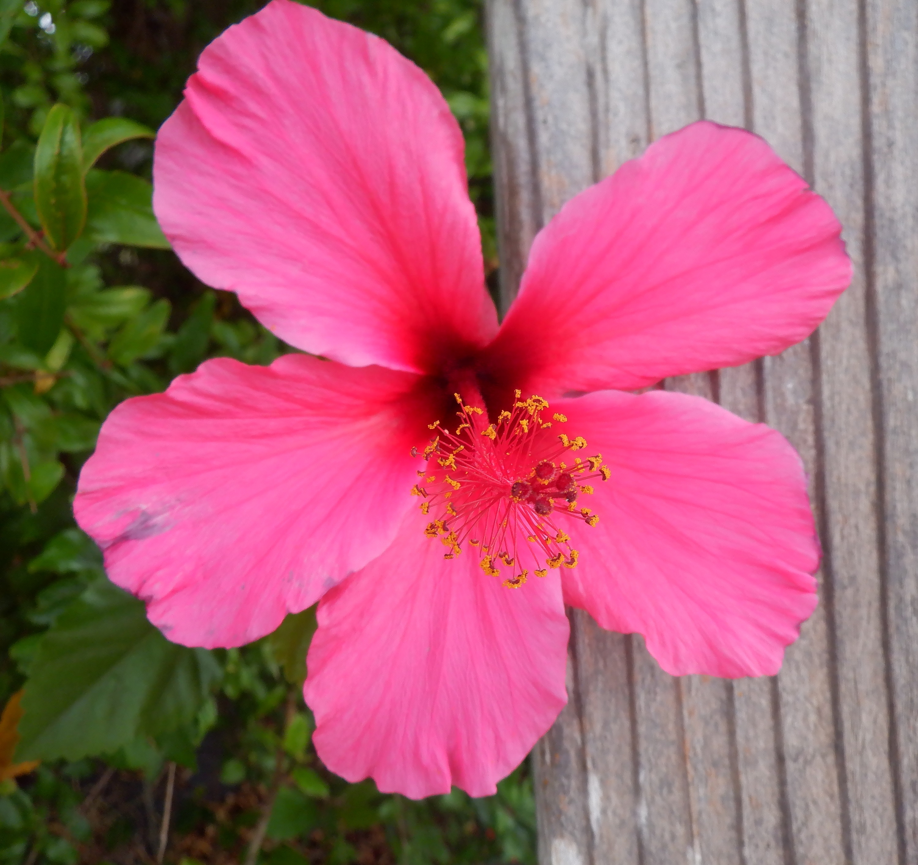 Photo taken by me 