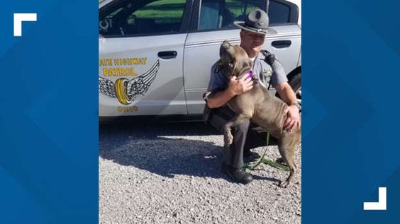 Ohio State Trooper Gable and his new dog Zoey Ohio State Trooper Gable and his new dog Zoey