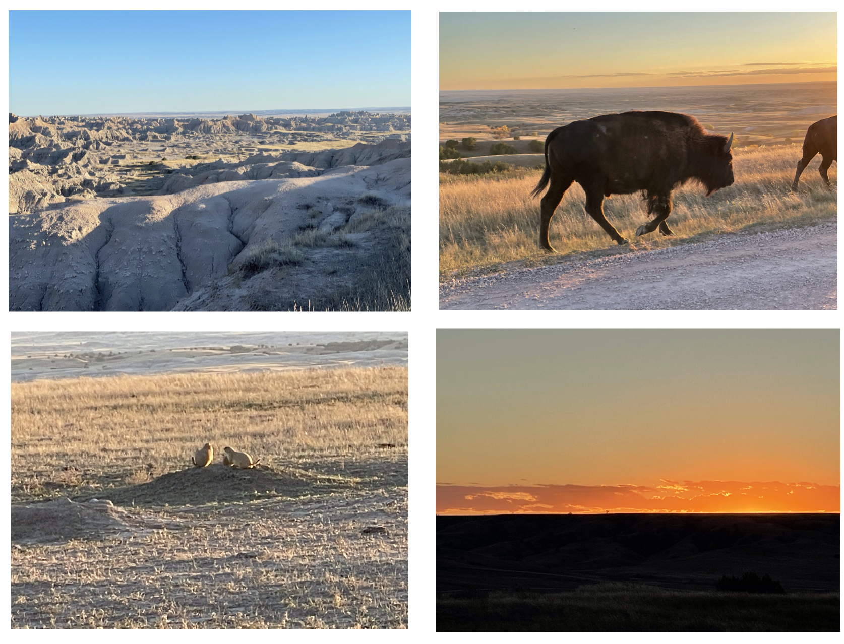 The unbelievable beauty in Badlands National Park.  Photos taken by and the property of FourWalls.