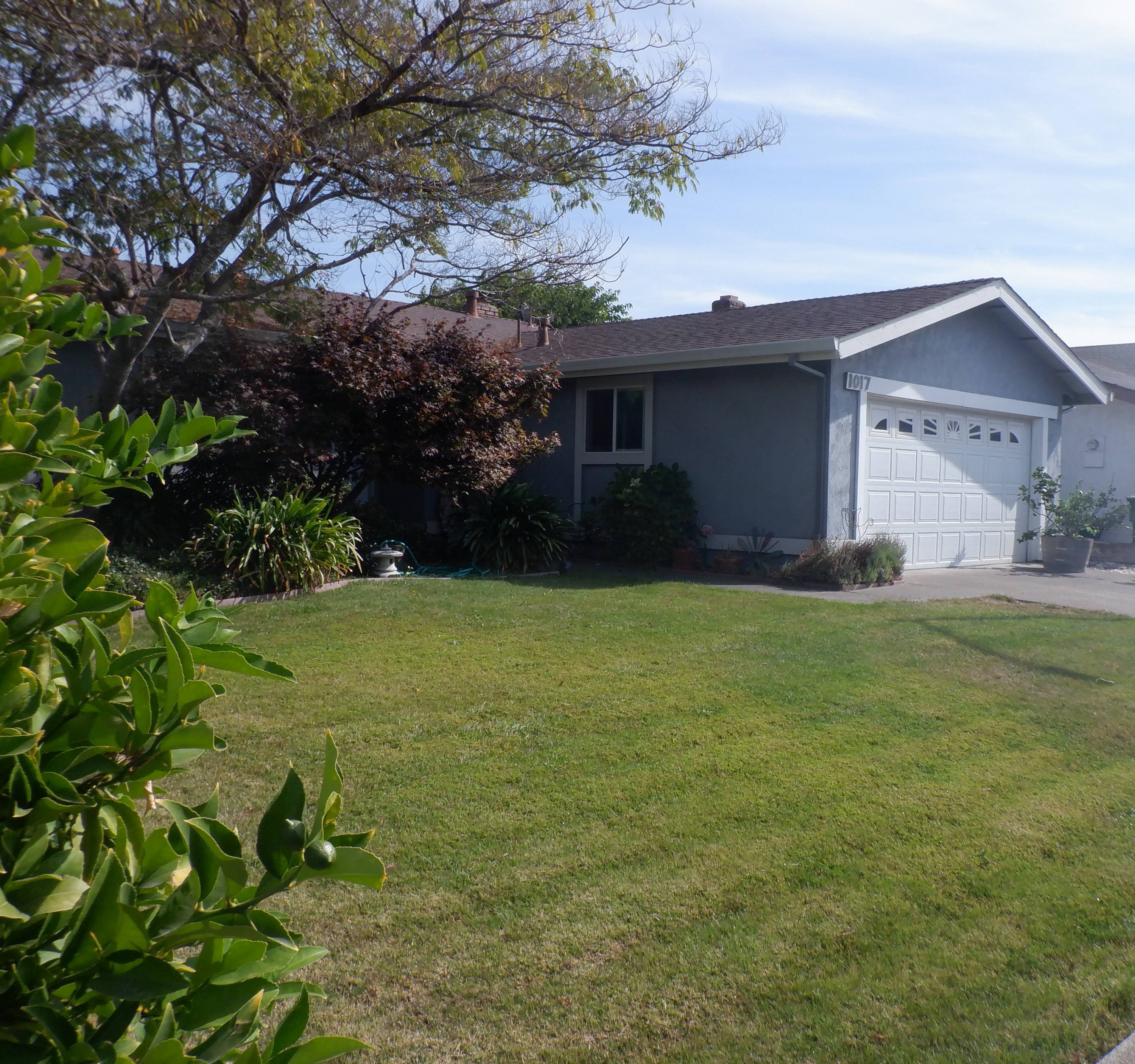 Photo I took of the house my parents had when I was born Photo I took of the house my parents had when I was born