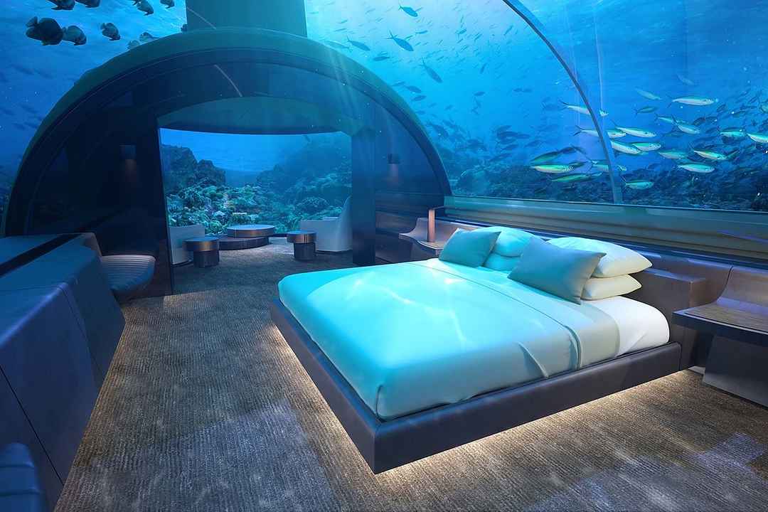 https://www.tripoto.com/trip/head-to-these-underwater-hotels-for-one-of-the-coolest-experiences-of-your-life-5e453c1b6ed5a.amp