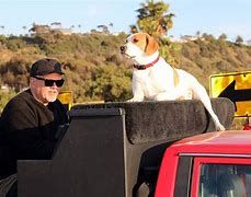 Piano man Denny Kean and his dog Mo Piano man Denny Kean and his dog Mo