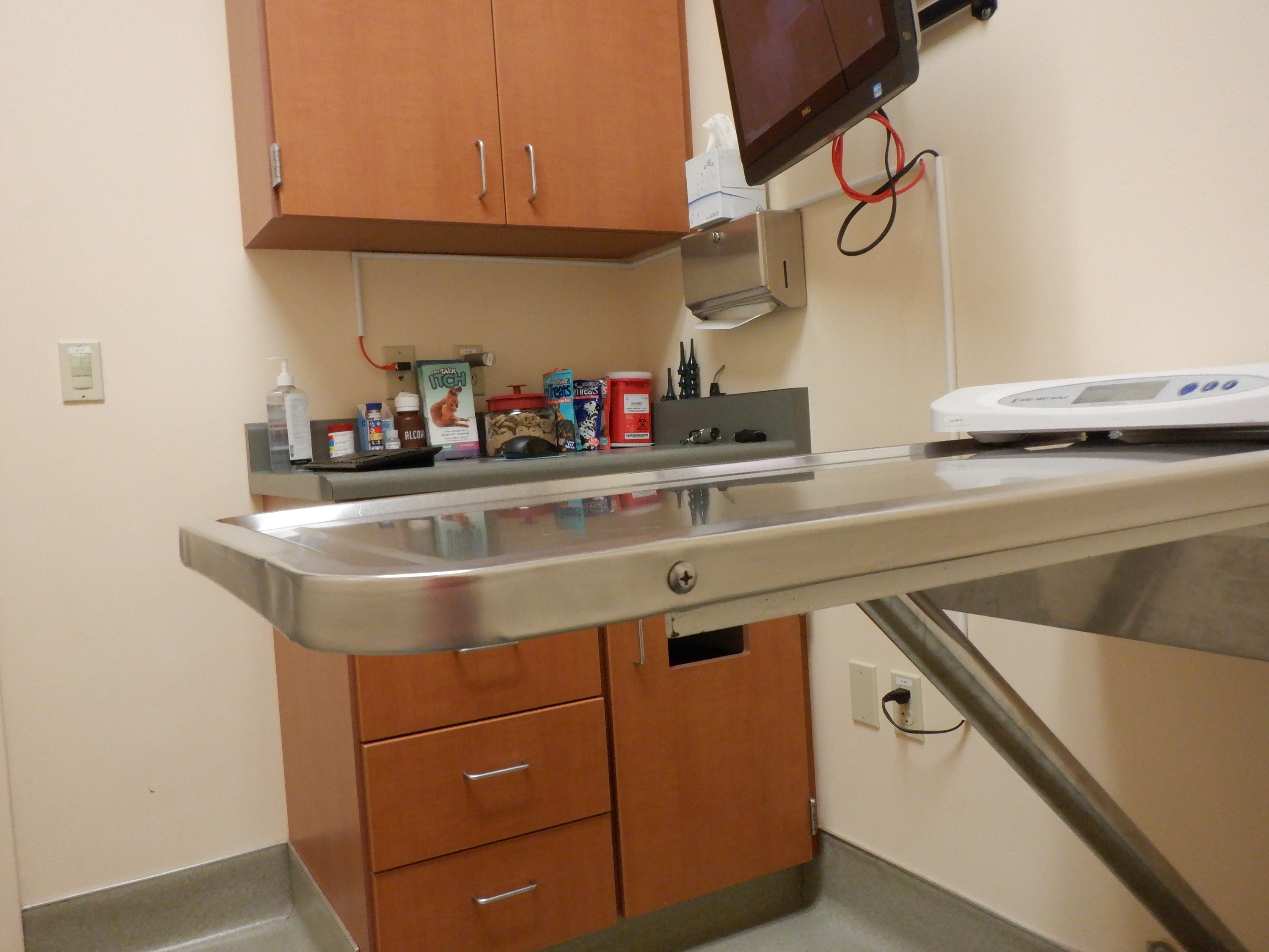 Photo I took in the exam room waiting for Angel Photo I took in the exam room waiting for Angel