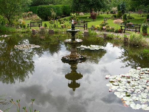 Ornamental pond in the cemetry - Our cemetry has the most beautiful pond and is very peaceful. Looking at the picture upside down is even better than the right way up