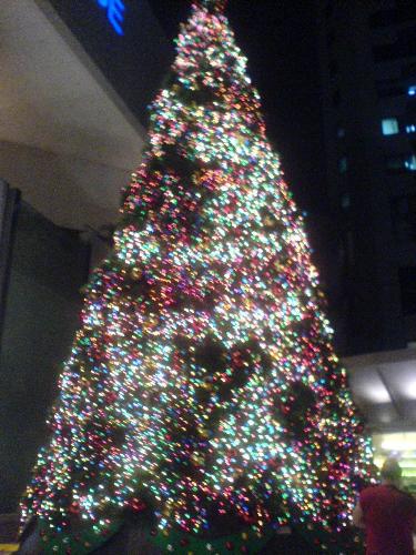 Parkway Tree - One of the christmas tree
