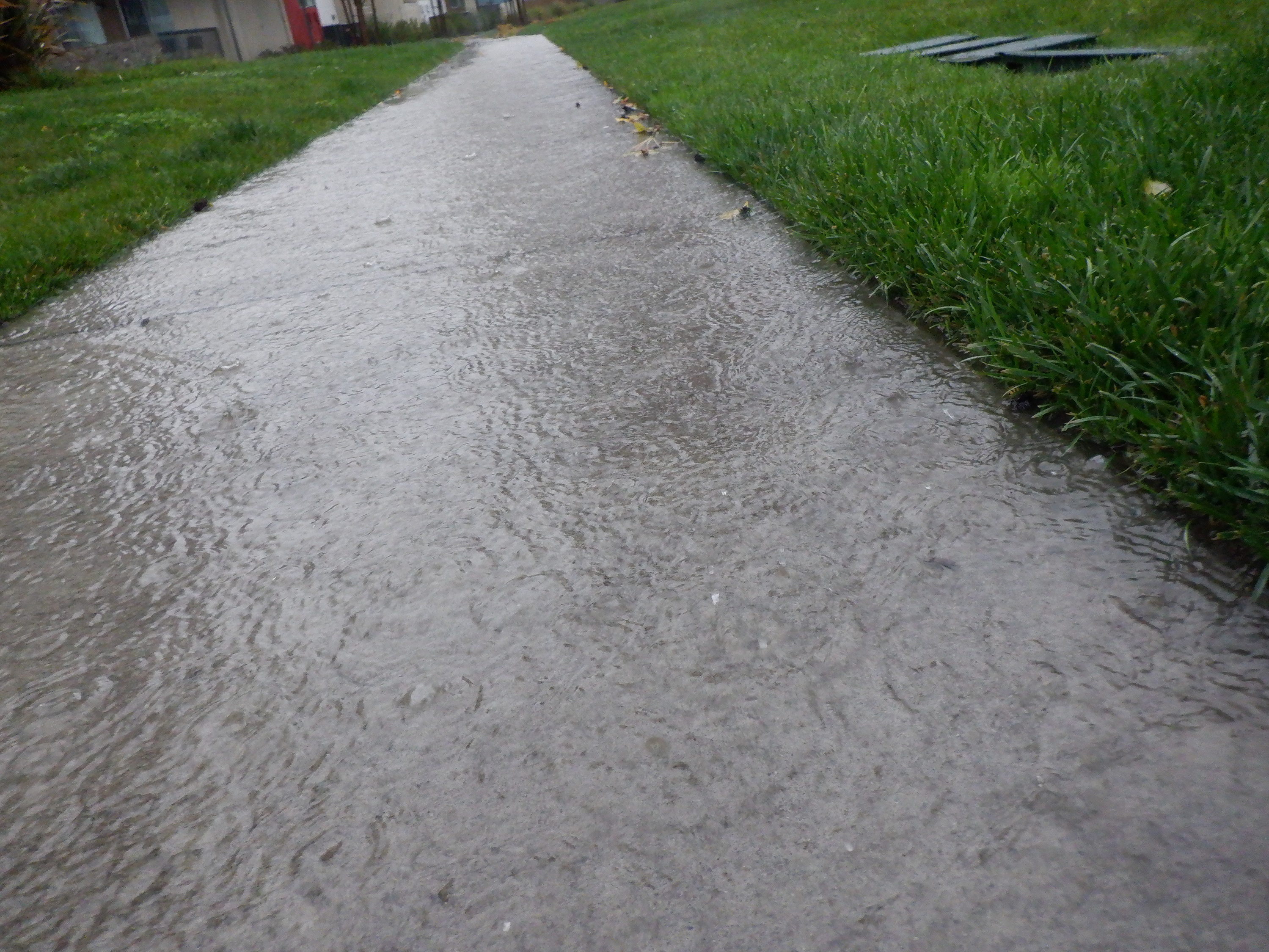 Photo I took of one of the paths around here with the water coming down it Photo I took of one of the paths around here with the water coming down it