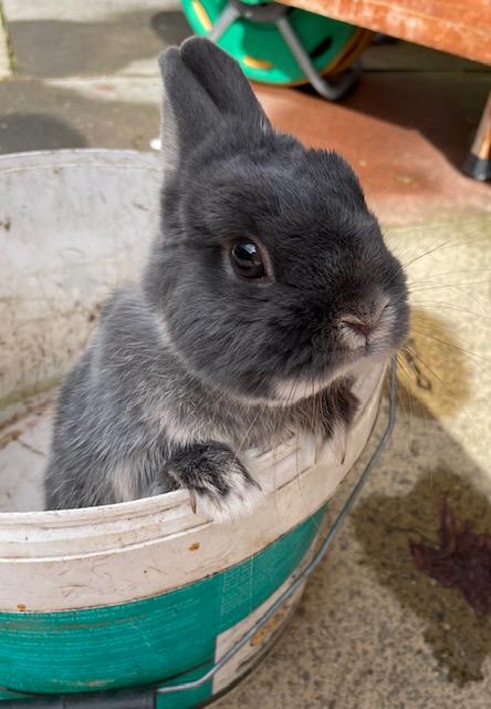 Coco!! Coco!!