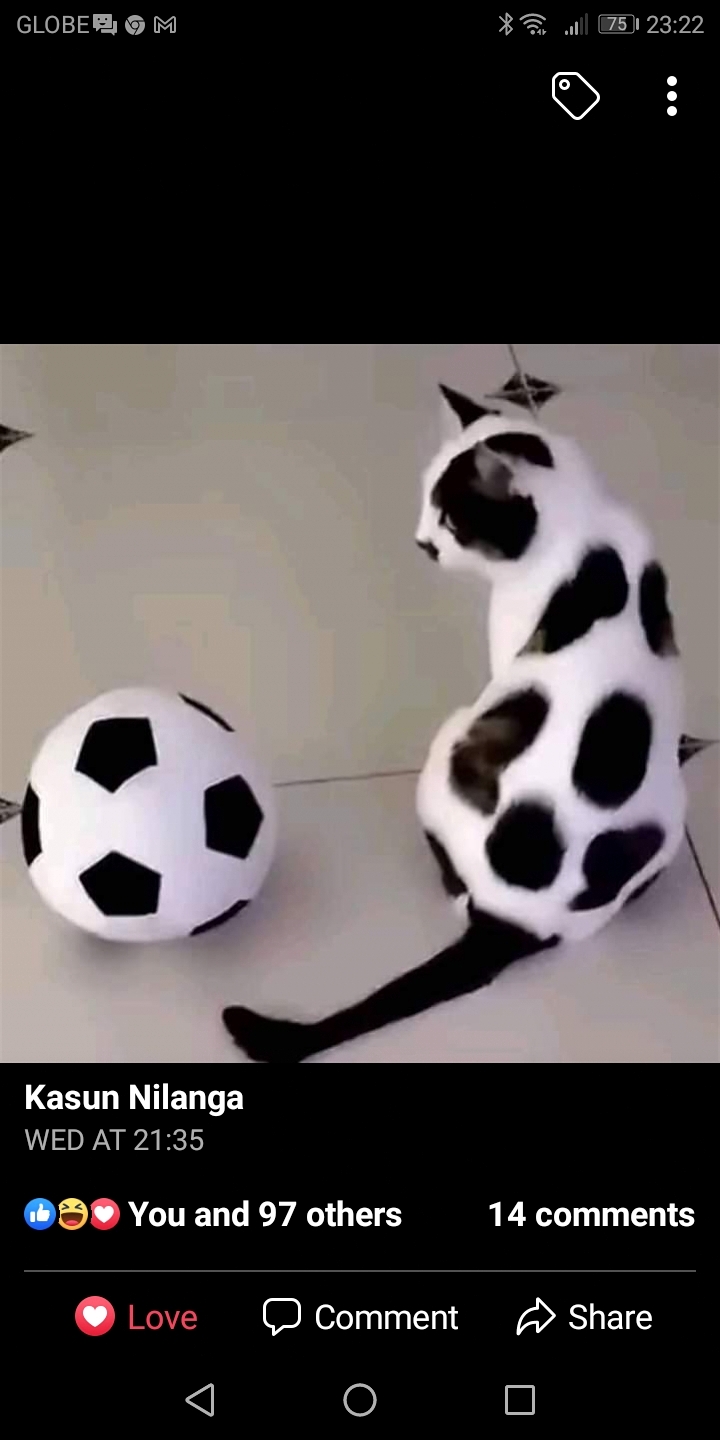 Kitty likes to play soccer 