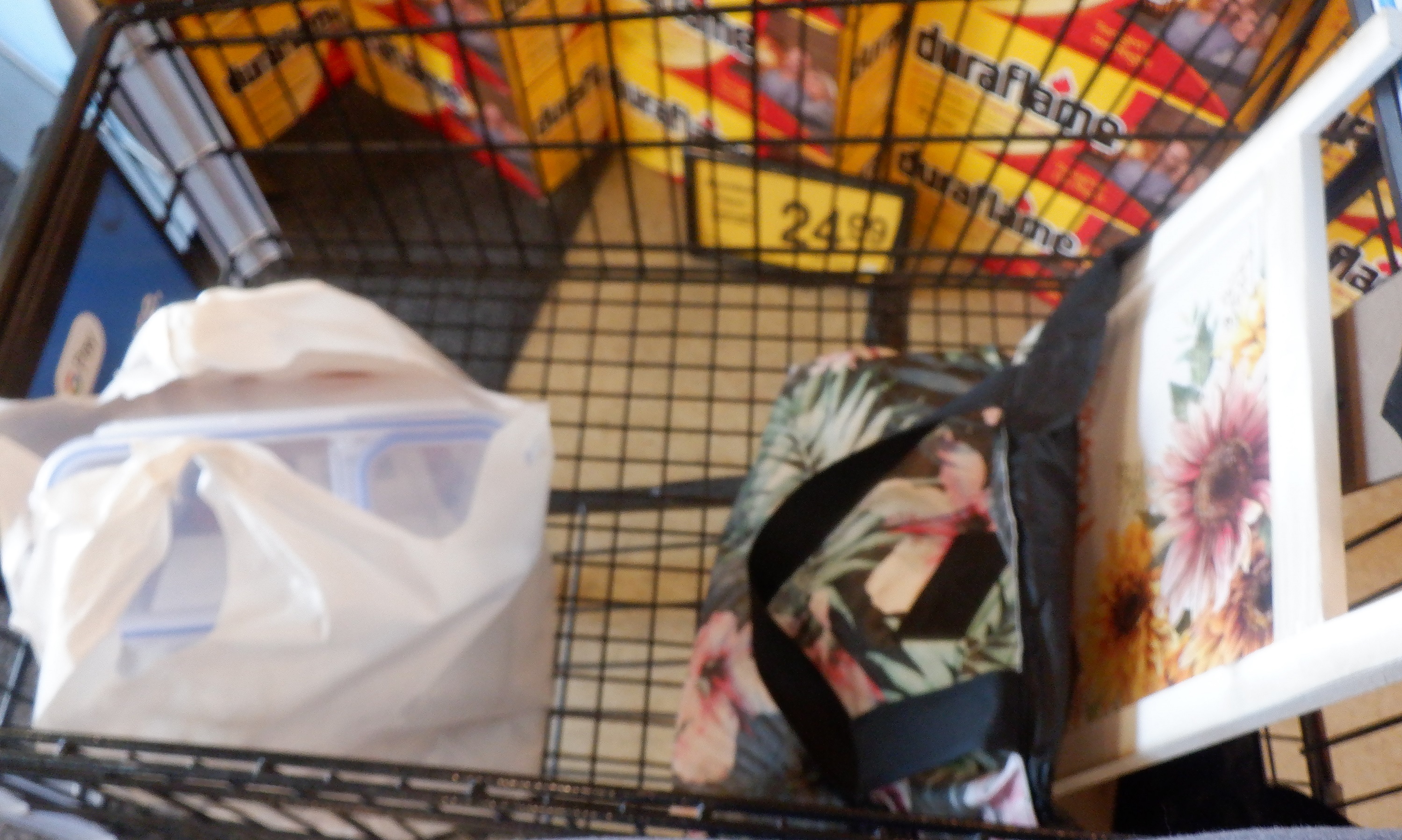 Photo I took of my shopping cart) Photo I took of my shopping cart)
