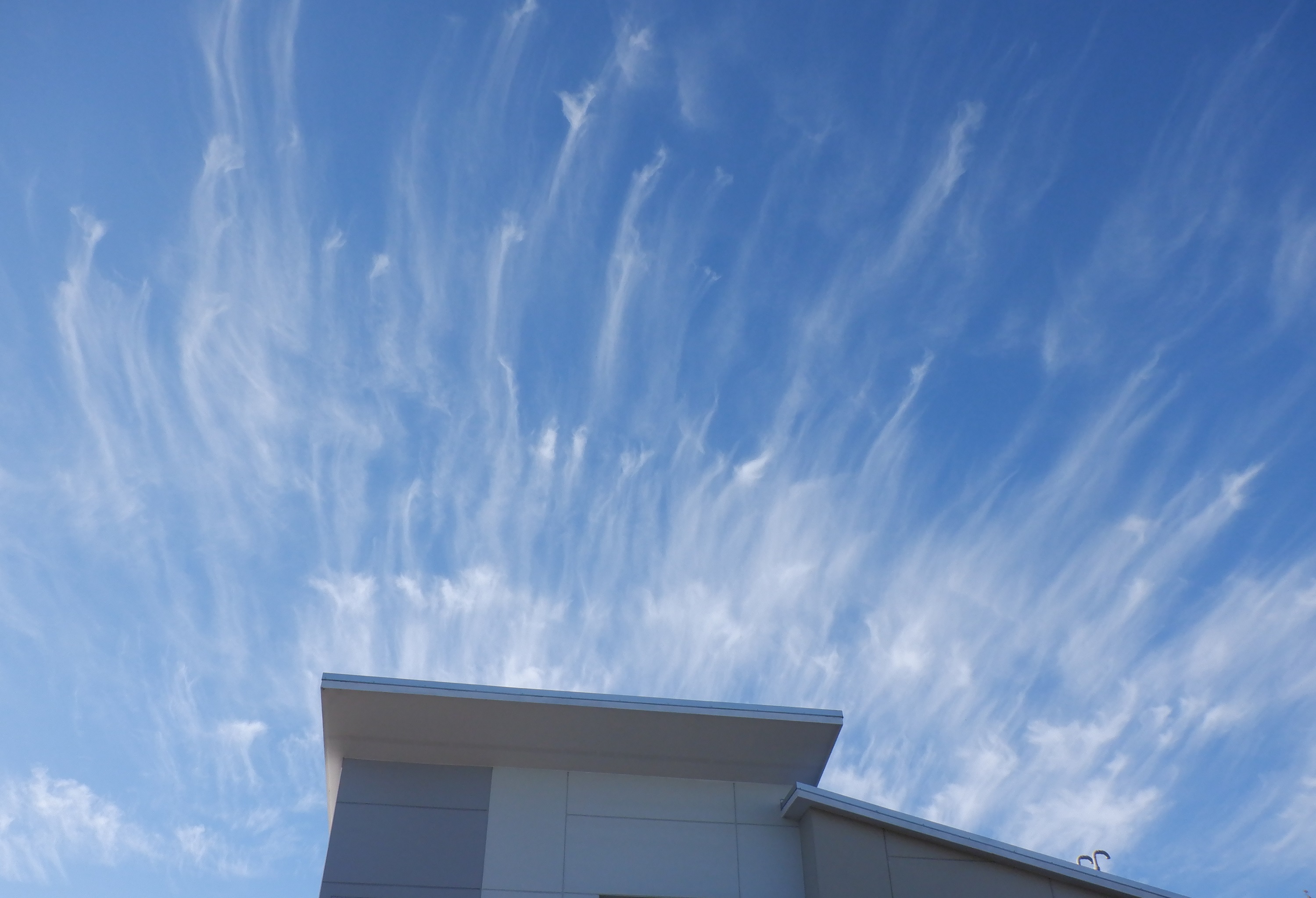 Photo I took of clouds 10-29-21 Photo I took of clouds 10-29-21