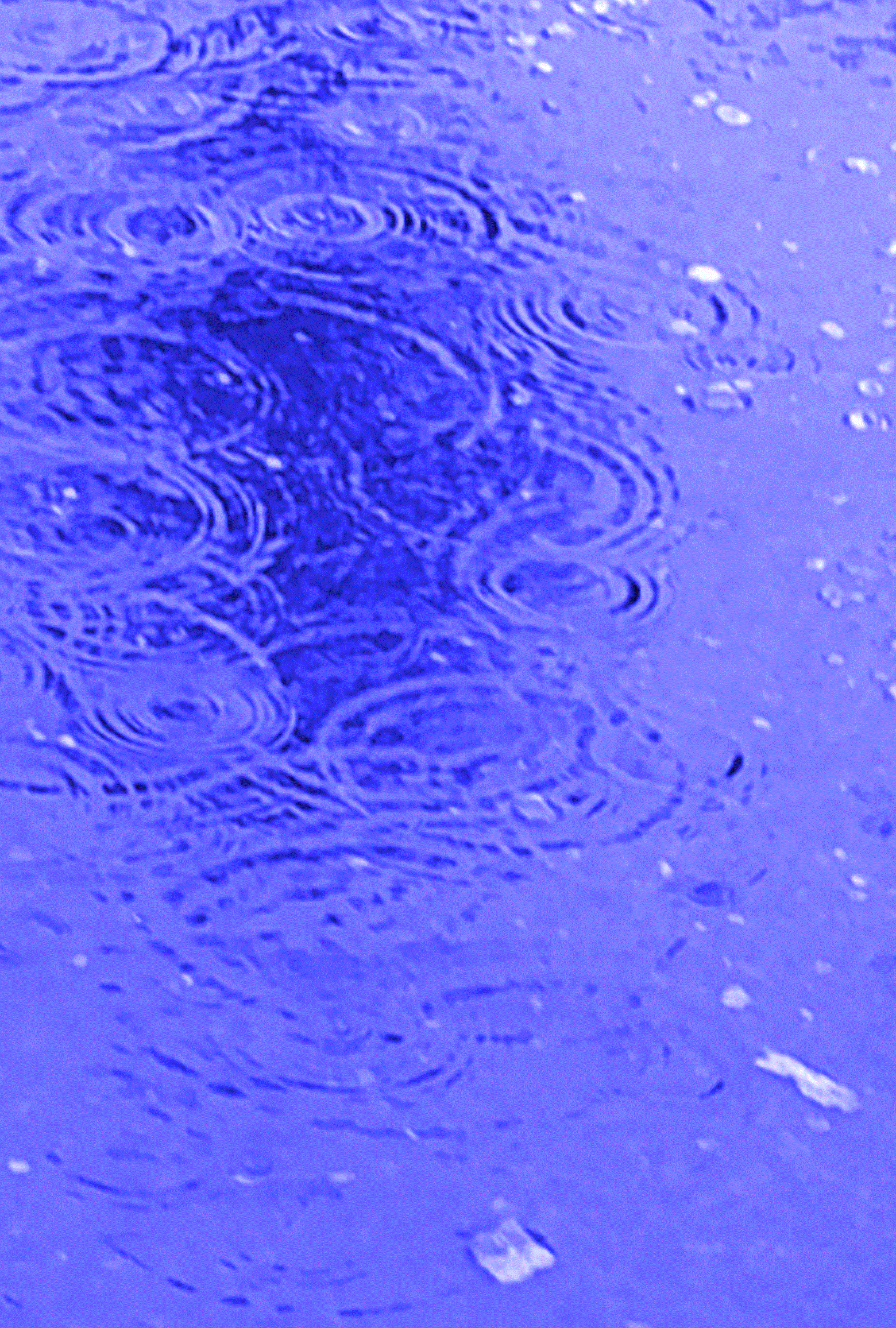Photo taken by me 11-16-21 w blue color bar effect Photo taken by me 11-16-21 w blue color bar effect