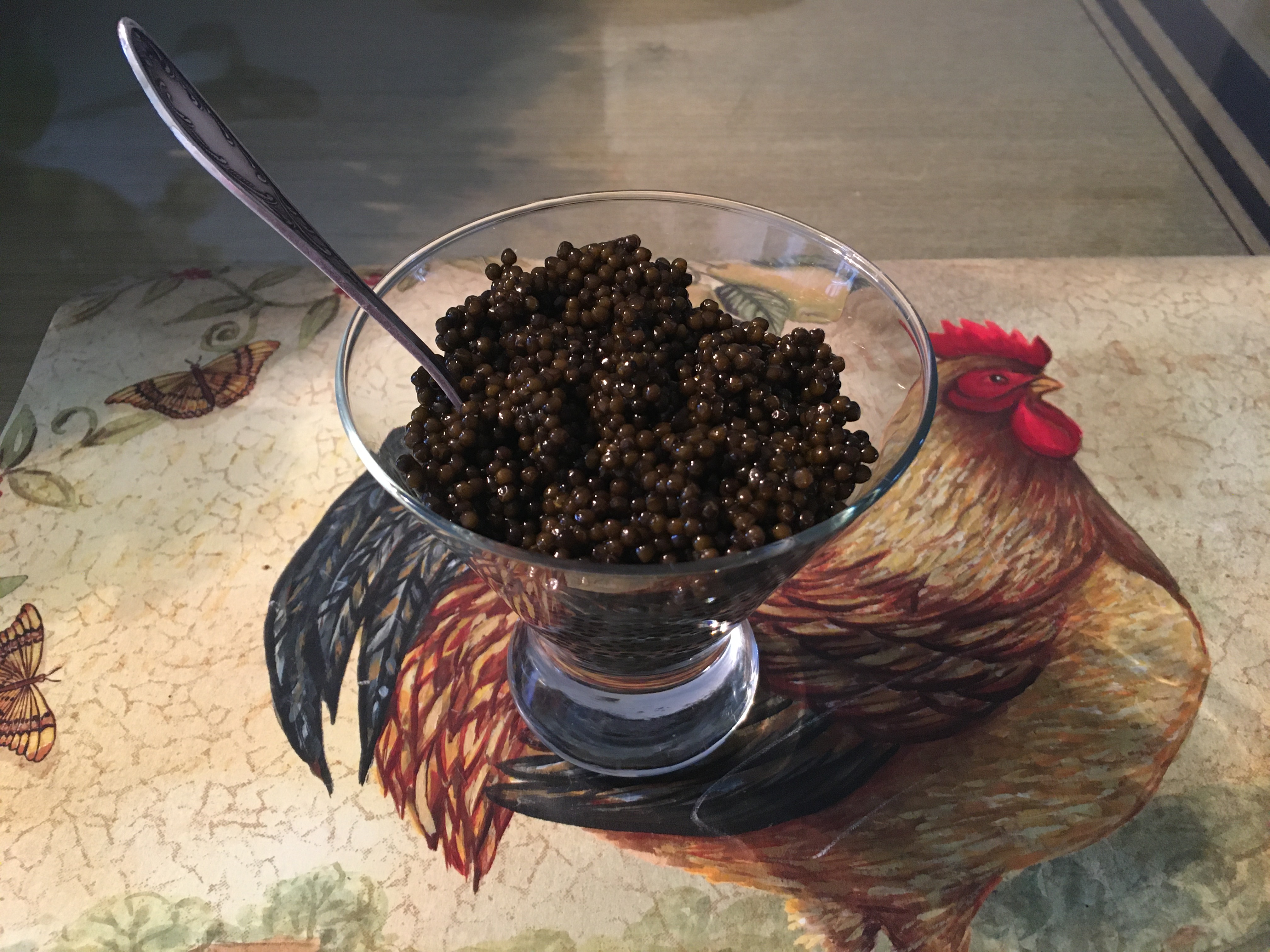 black caviar black caviar