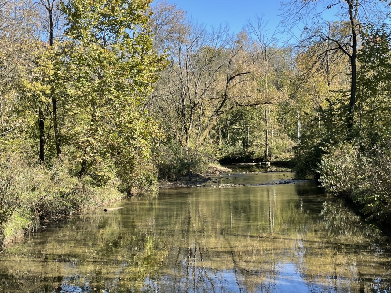 Beargrass Creek in Brown Park, St. Matthews, KY. Photo taken by and the property of FourWalls. Beargrass Creek in Brown Park, St. Matthews, KY. Photo taken by and the property of FourWalls.