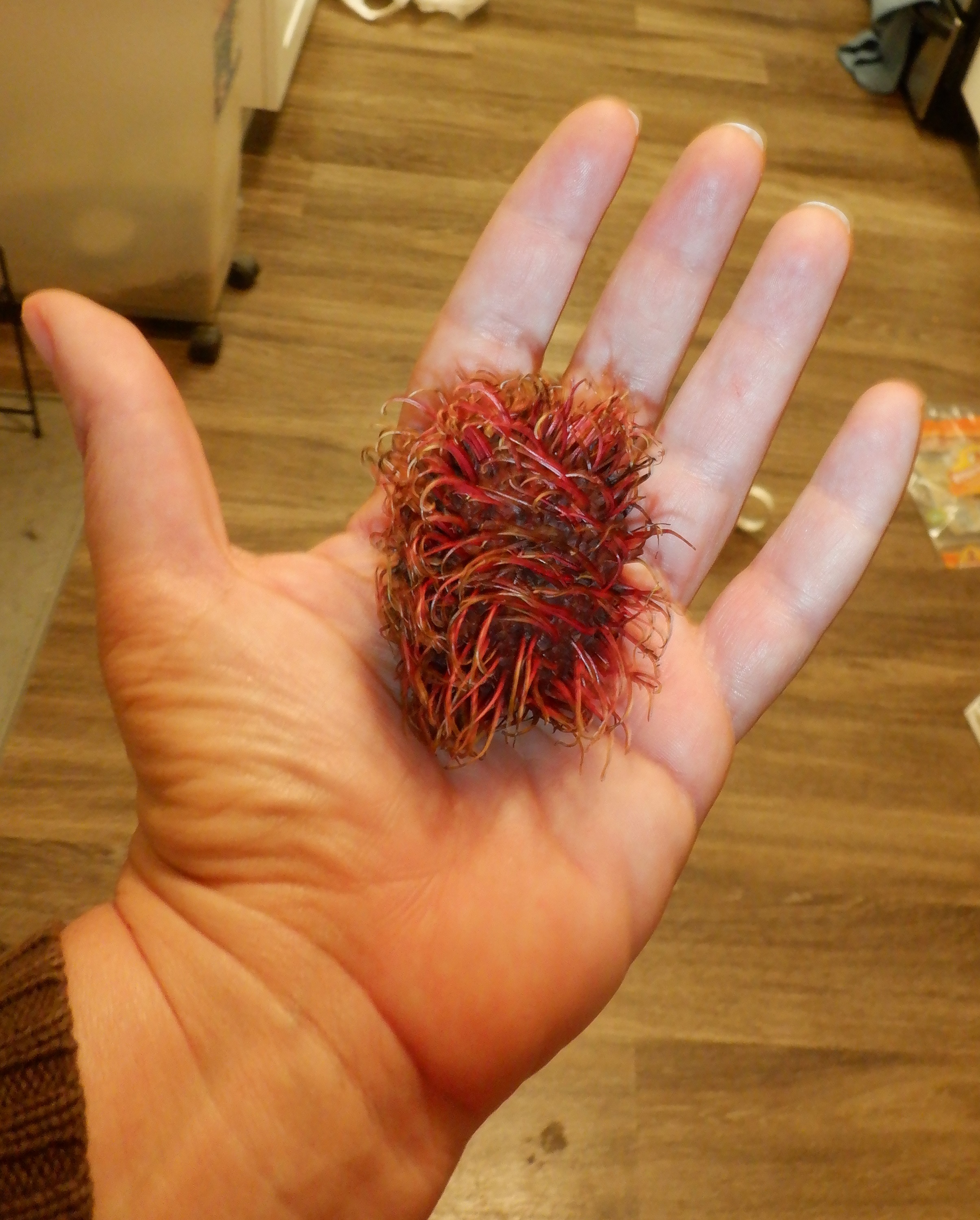 Photo I took of the Rambutan in my hand Photo I took of the Rambutan in my hand