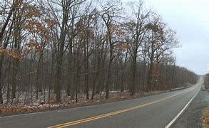 A wooded area in Wilkes-Barre Pennsylvania where a small plane crashed A wooded area in Wilkes-Barre Pennsylvania where a small plane crashed