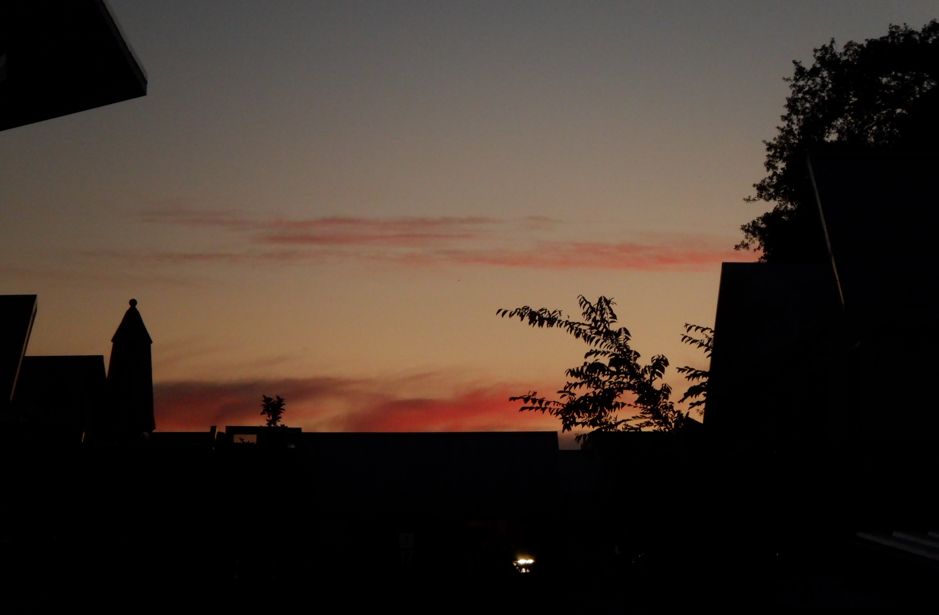 Photo taken by me 11-16-21