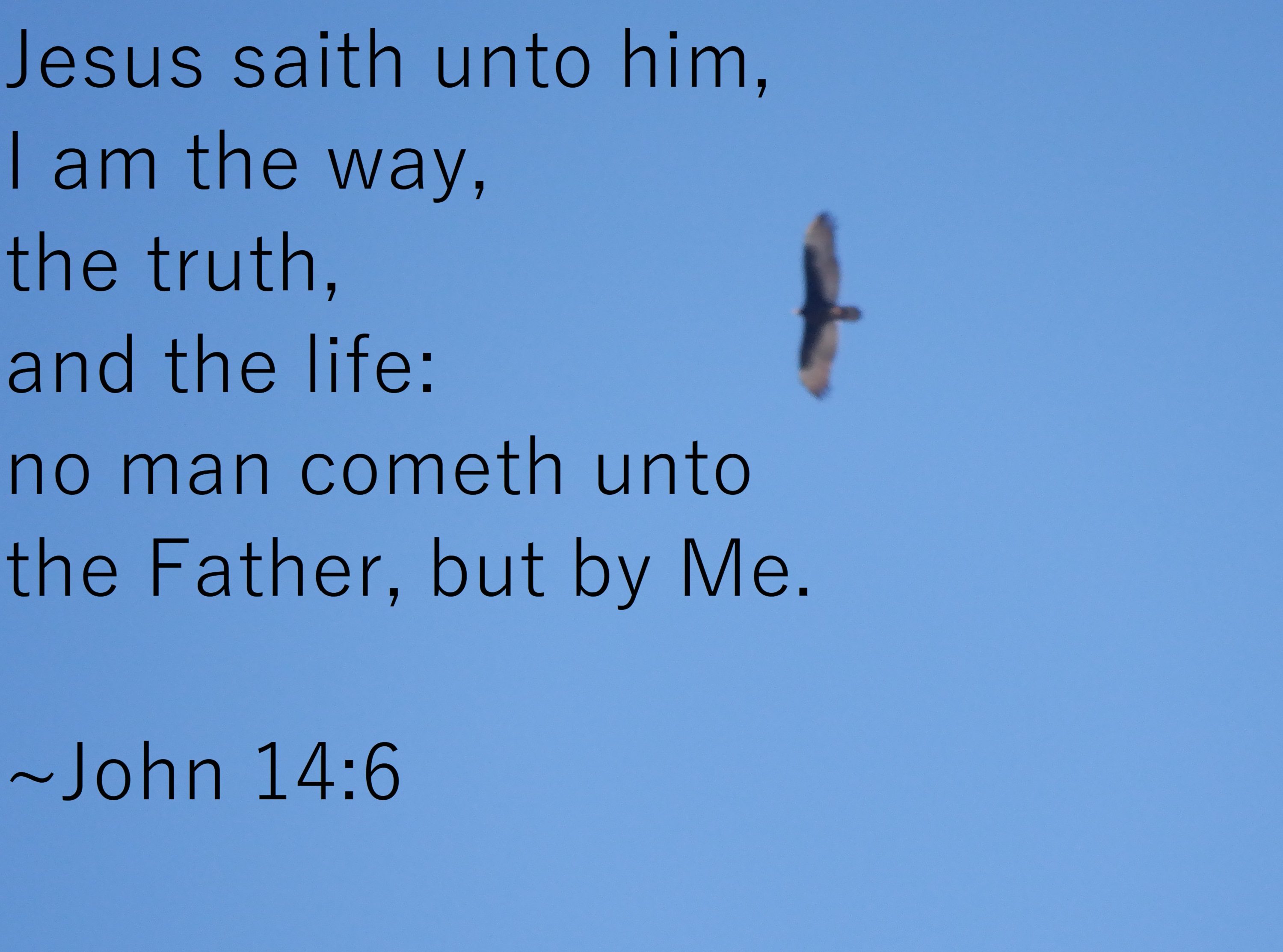 Photo taken by me with John 14:6 added on Paint
