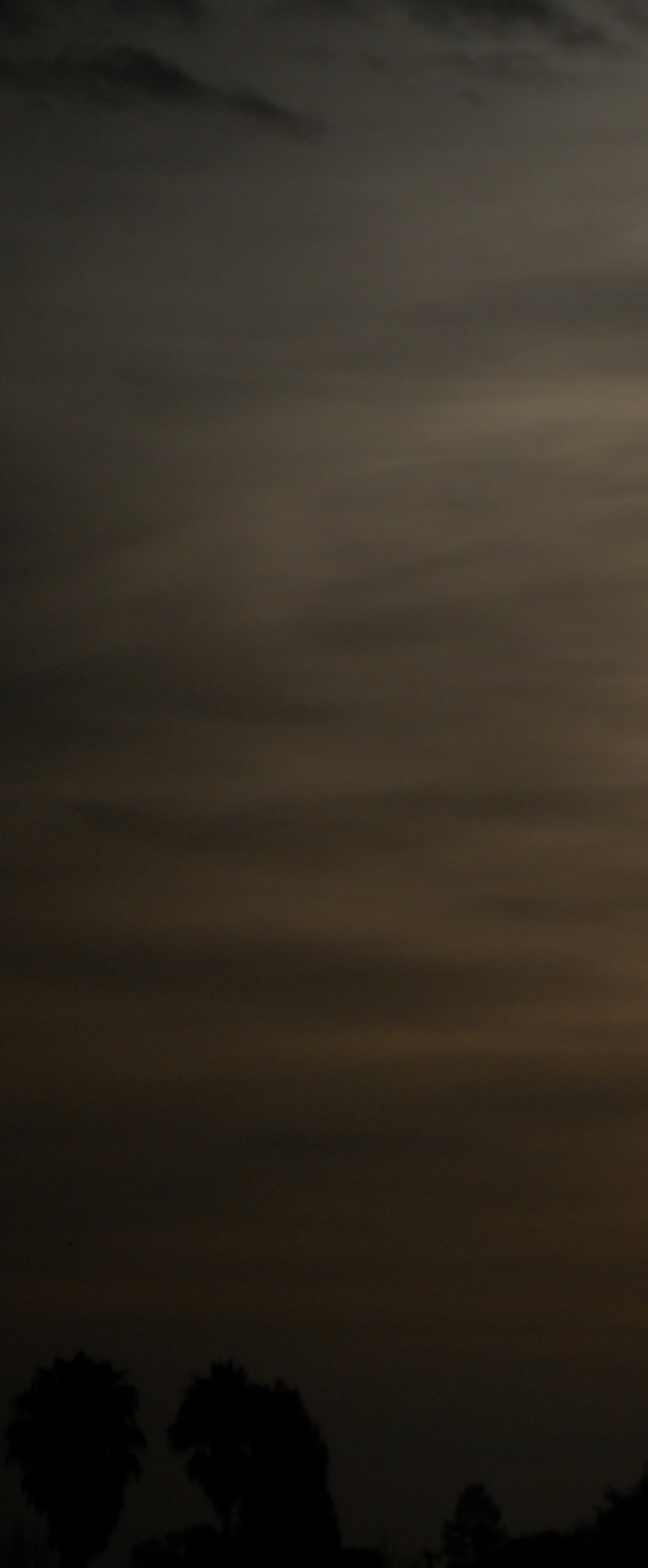 Photo taken by me 11-18-21 cropped